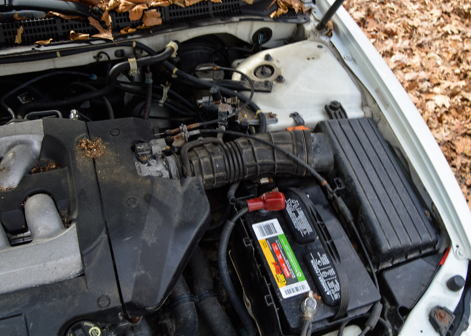 2002 Honda Accord Sedan