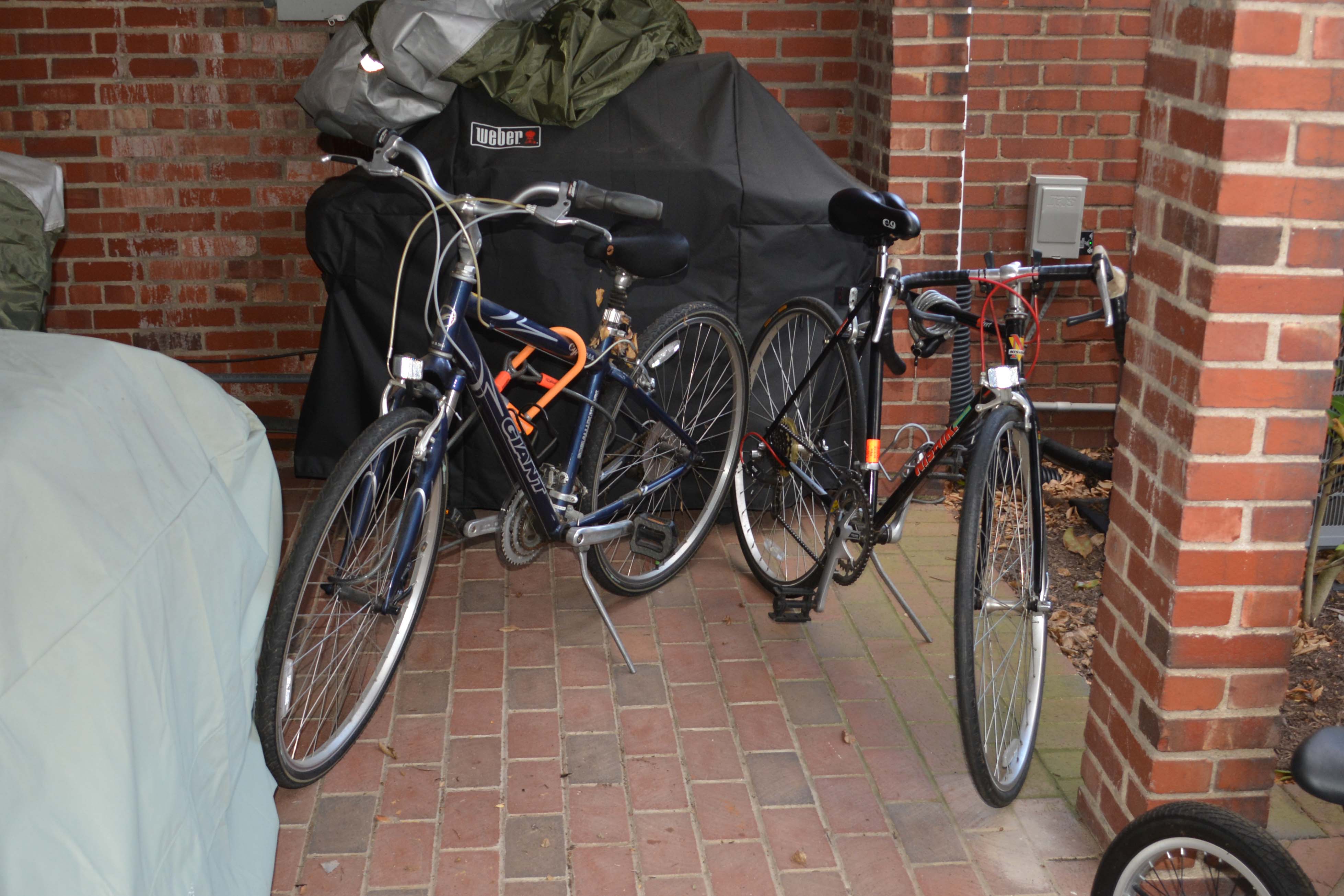 Giant Cypress and Nishiki Performance Equipe Bicycles