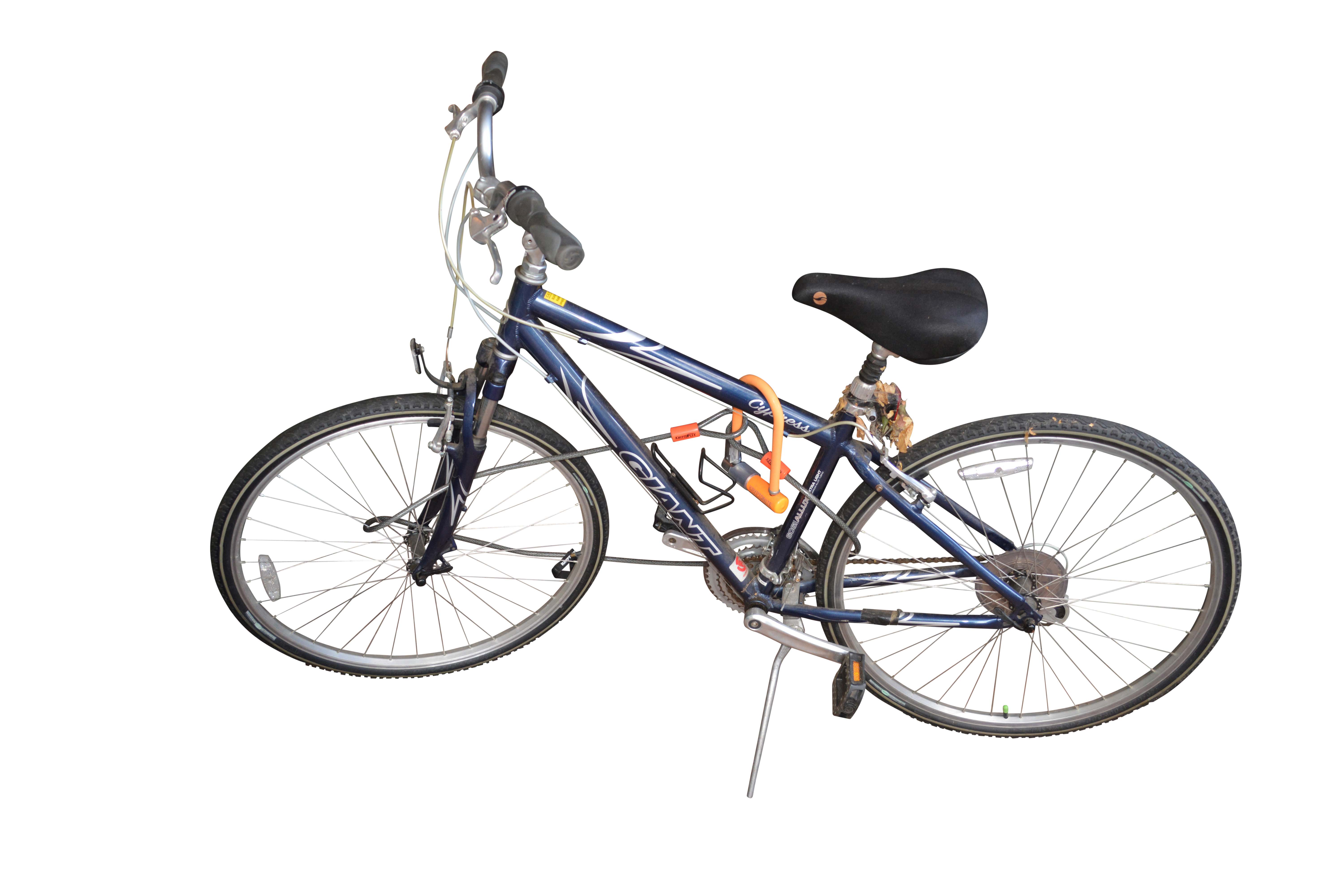 Giant Cypress and Nishiki Performance Equipe Bicycles