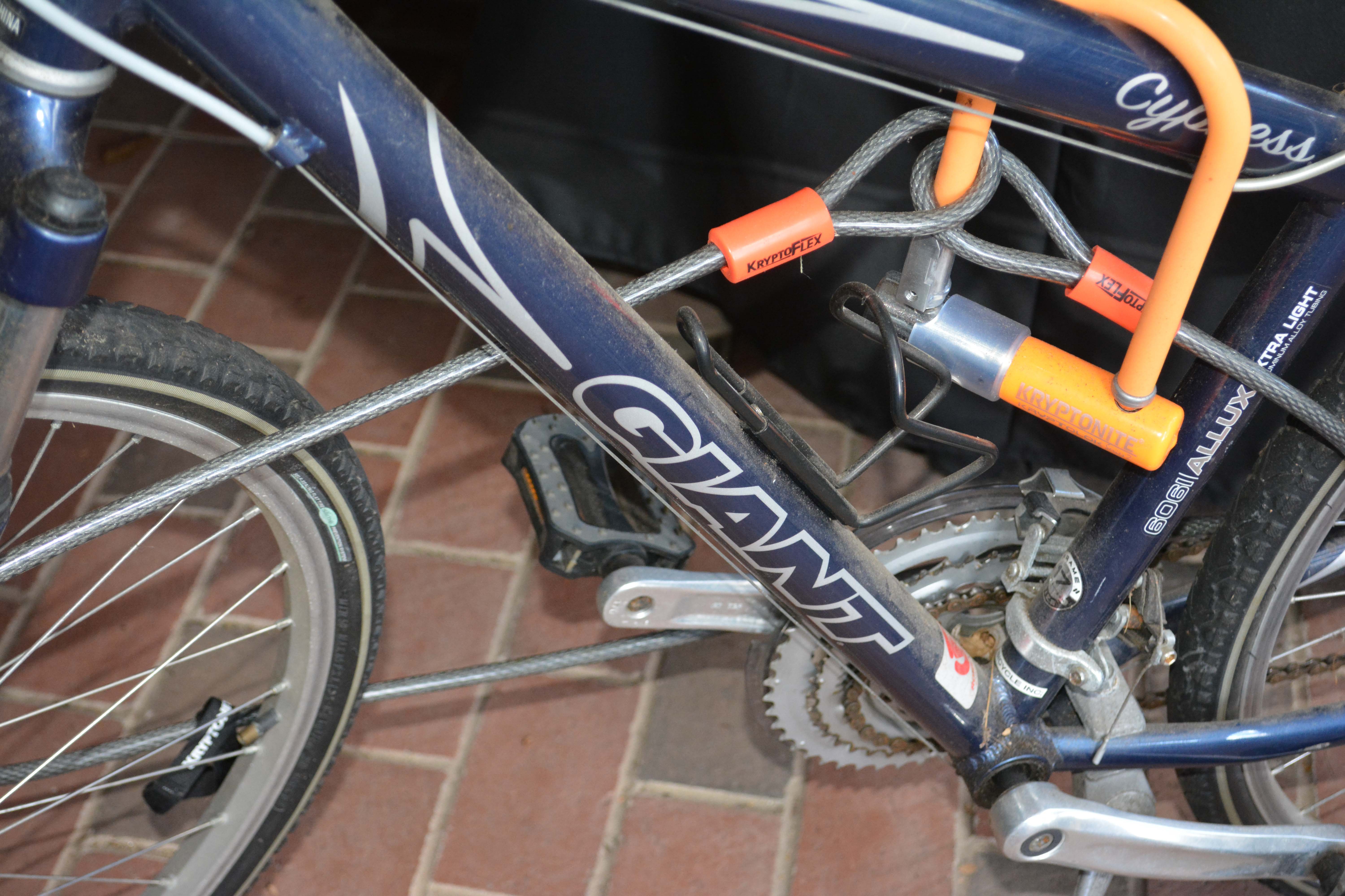 Giant Cypress and Nishiki Performance Equipe Bicycles