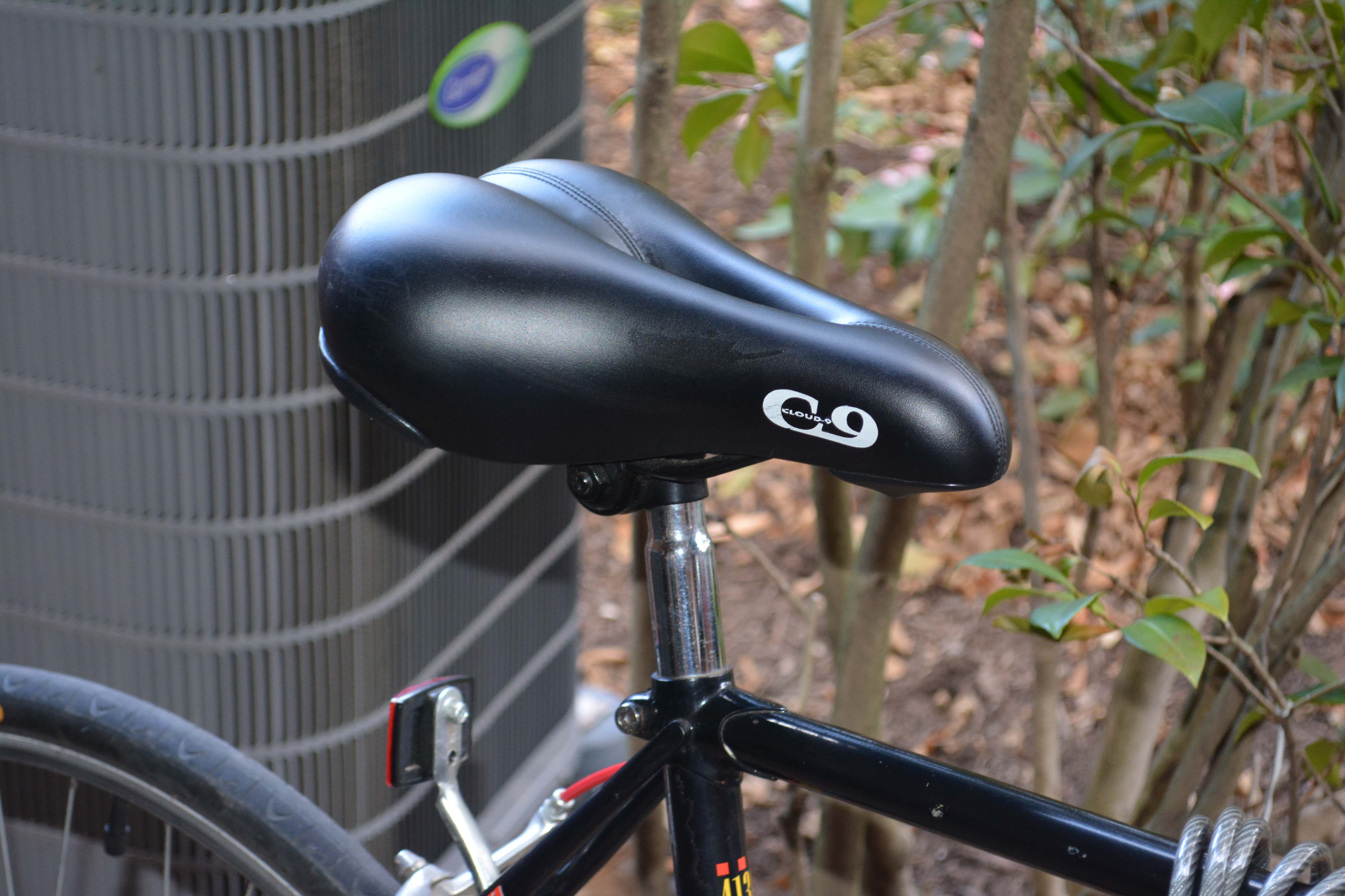 Giant Cypress and Nishiki Performance Equipe Bicycles