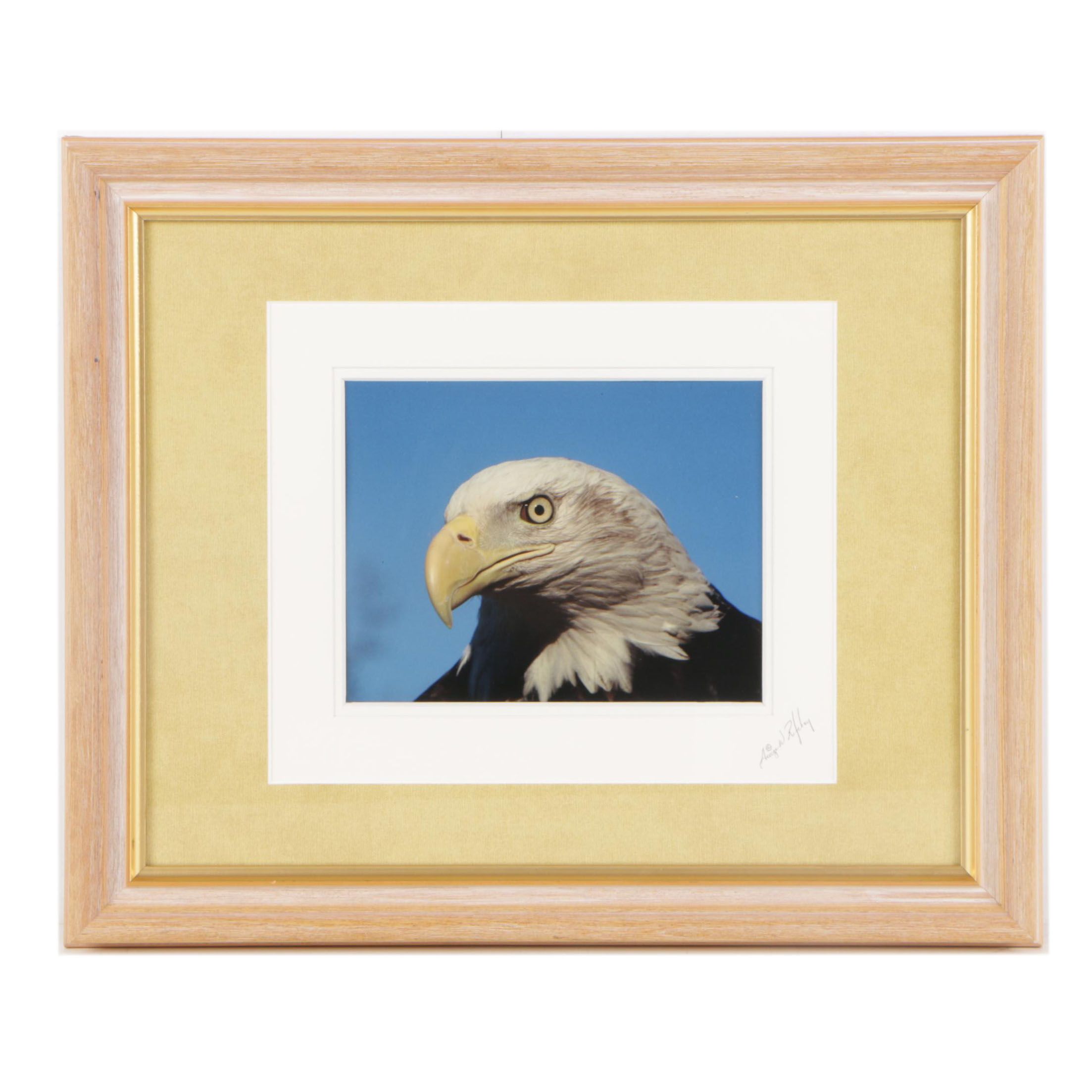 George W. Ritchey Color Photograph of Bald Eagle