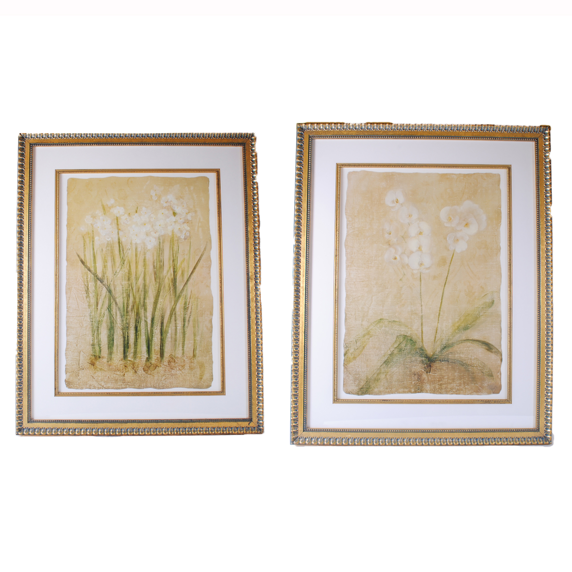 Offset Lithographs After Cheri Blum "Narcissus Cool" and "Orchid Cool"