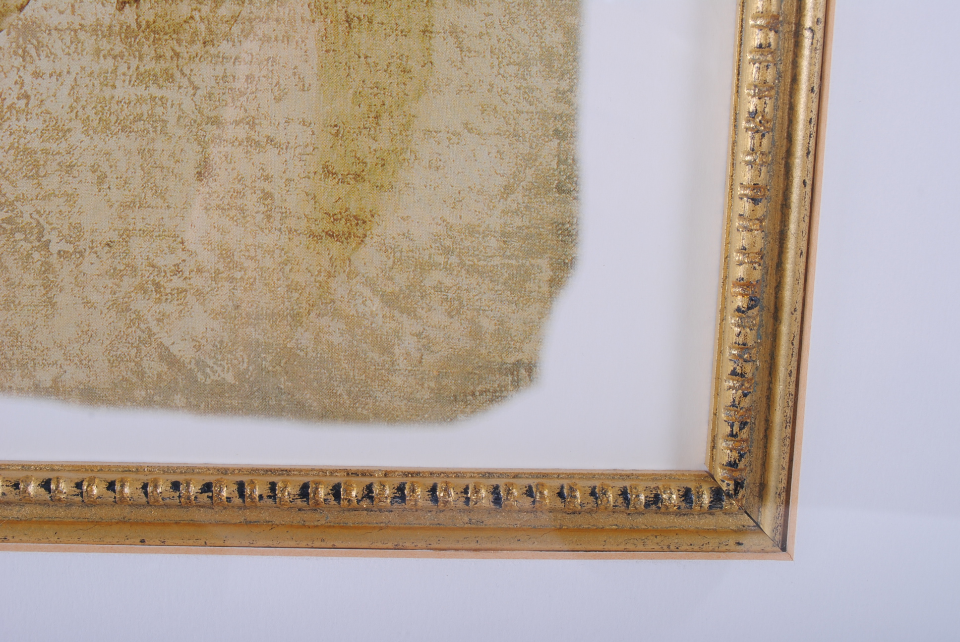 Offset Lithographs After Cheri Blum "Narcissus Cool" and "Orchid Cool"