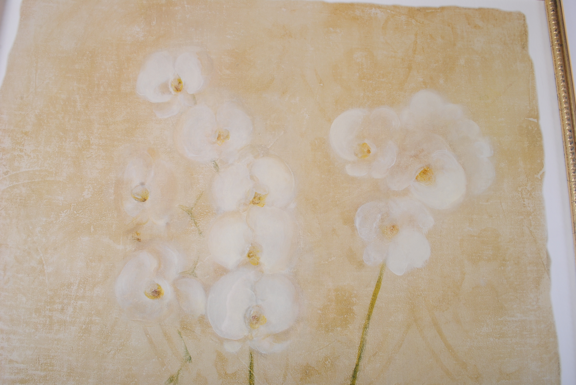 Offset Lithographs After Cheri Blum "Narcissus Cool" and "Orchid Cool"