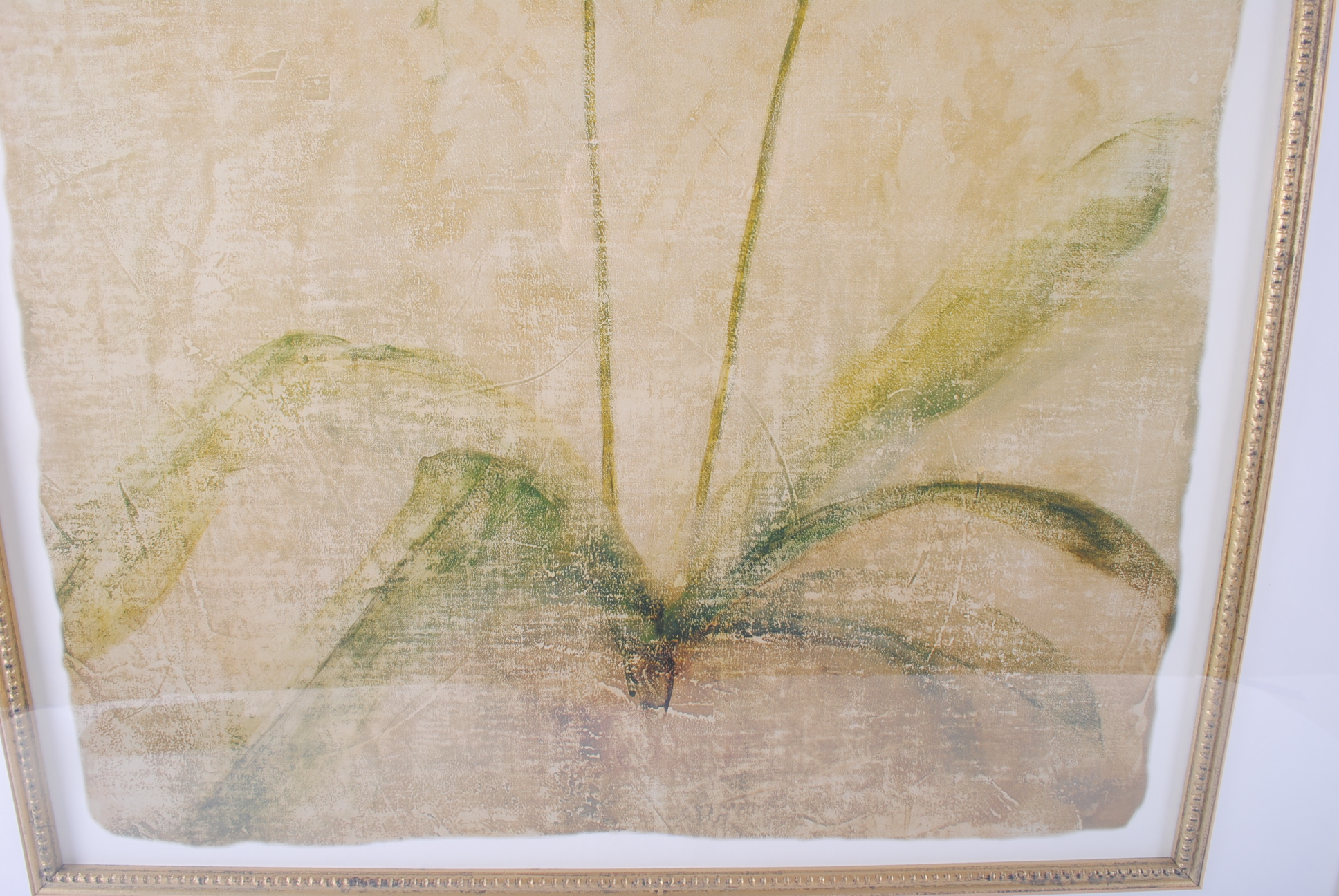 Offset Lithographs After Cheri Blum "Narcissus Cool" and "Orchid Cool"