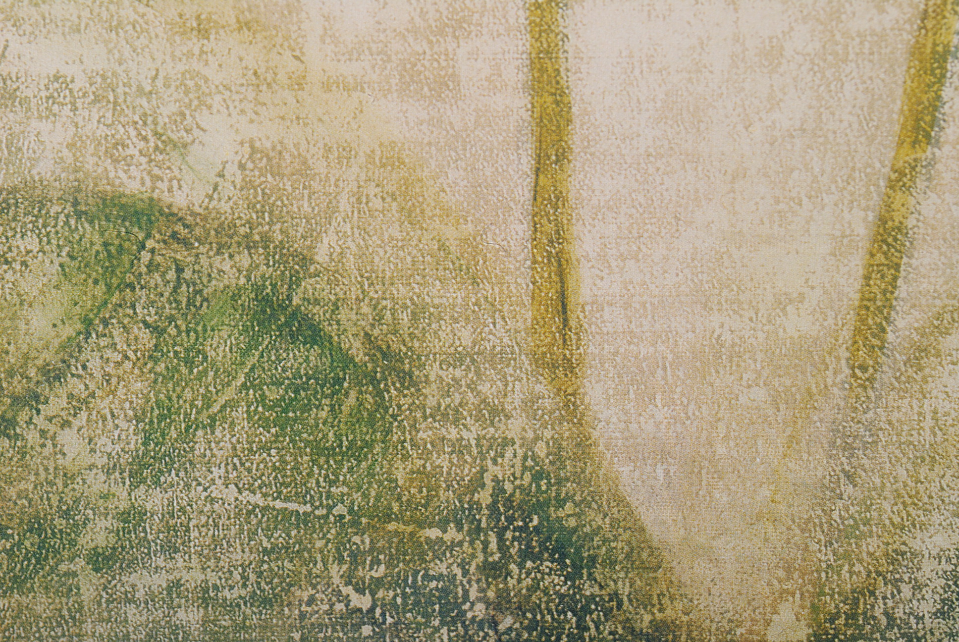 Offset Lithographs After Cheri Blum "Narcissus Cool" and "Orchid Cool"