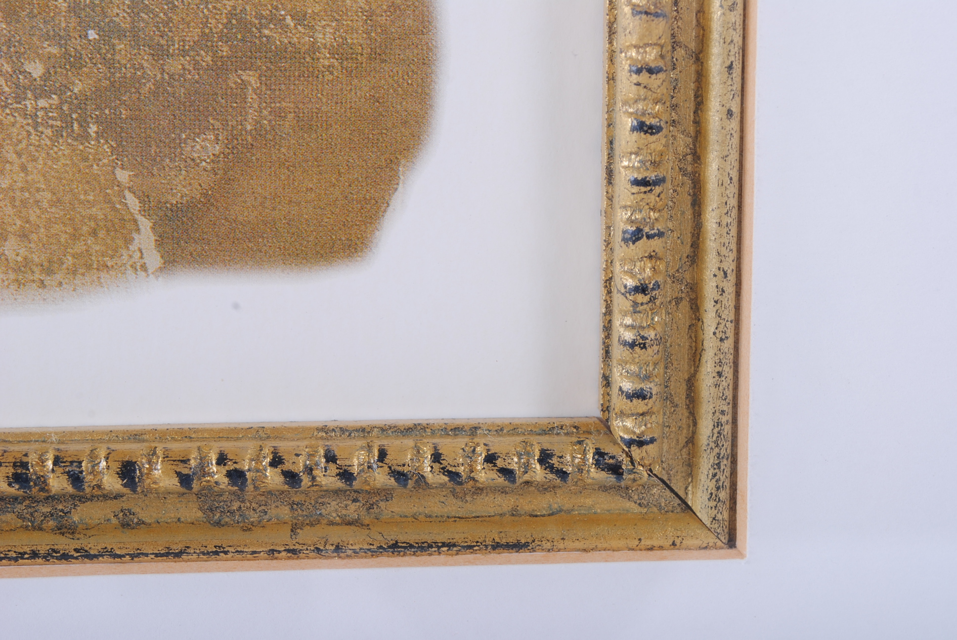 Offset Lithographs After Cheri Blum "Narcissus Cool" and "Orchid Cool"