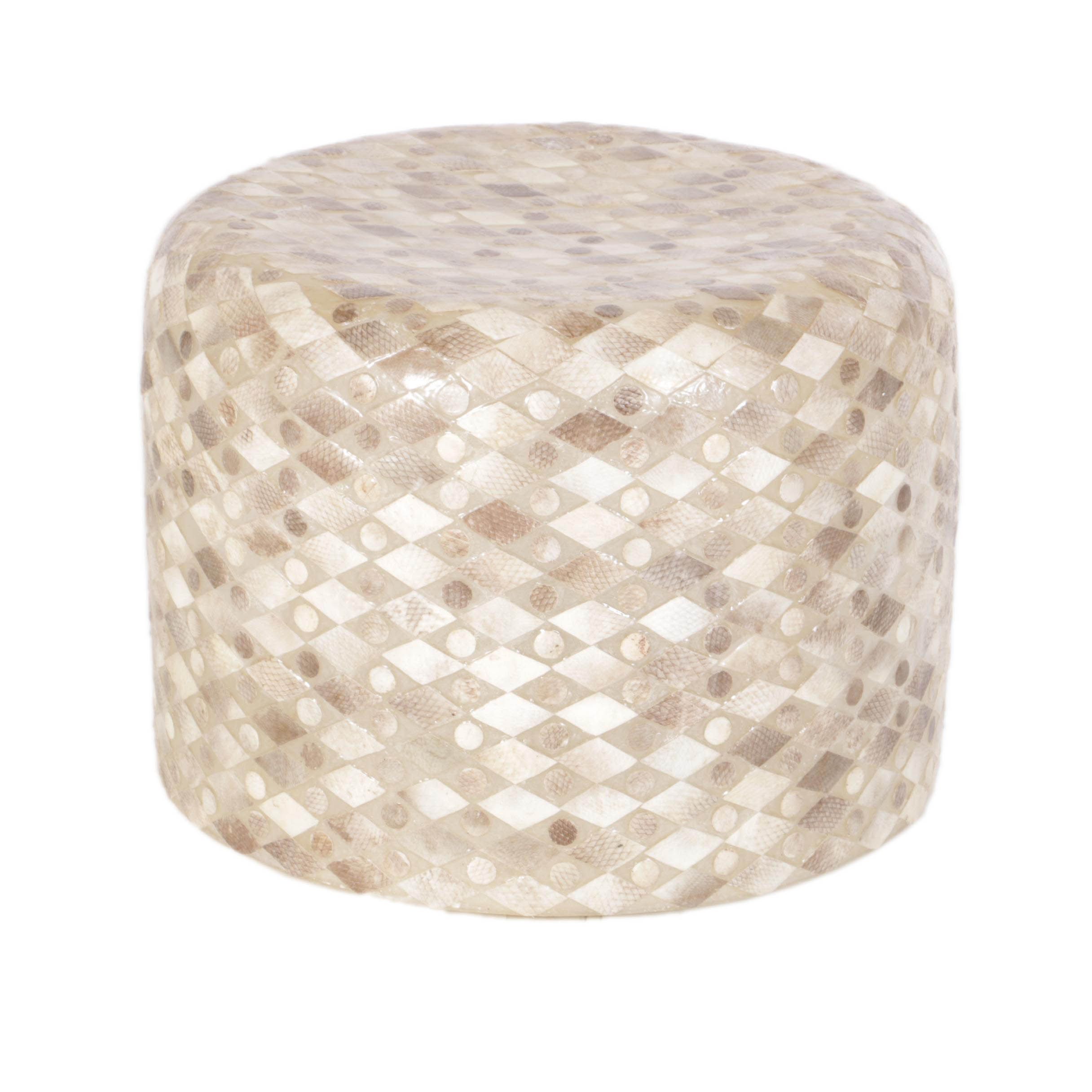 Unusual Indonesian Fish Skin Floor Lamp