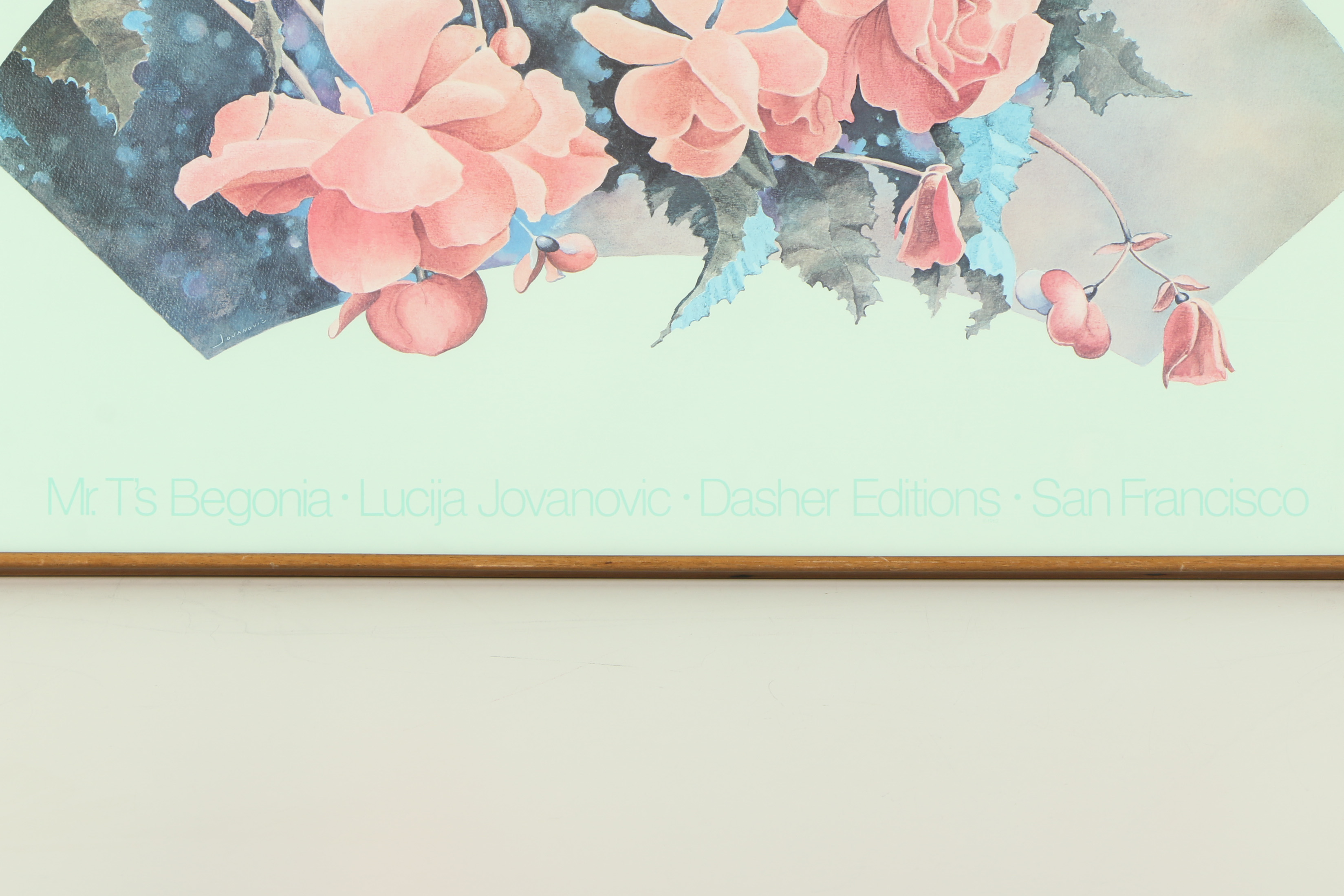 Offset Lithograph Poster After Lucija Jovanović "Mr. T's Begonia"