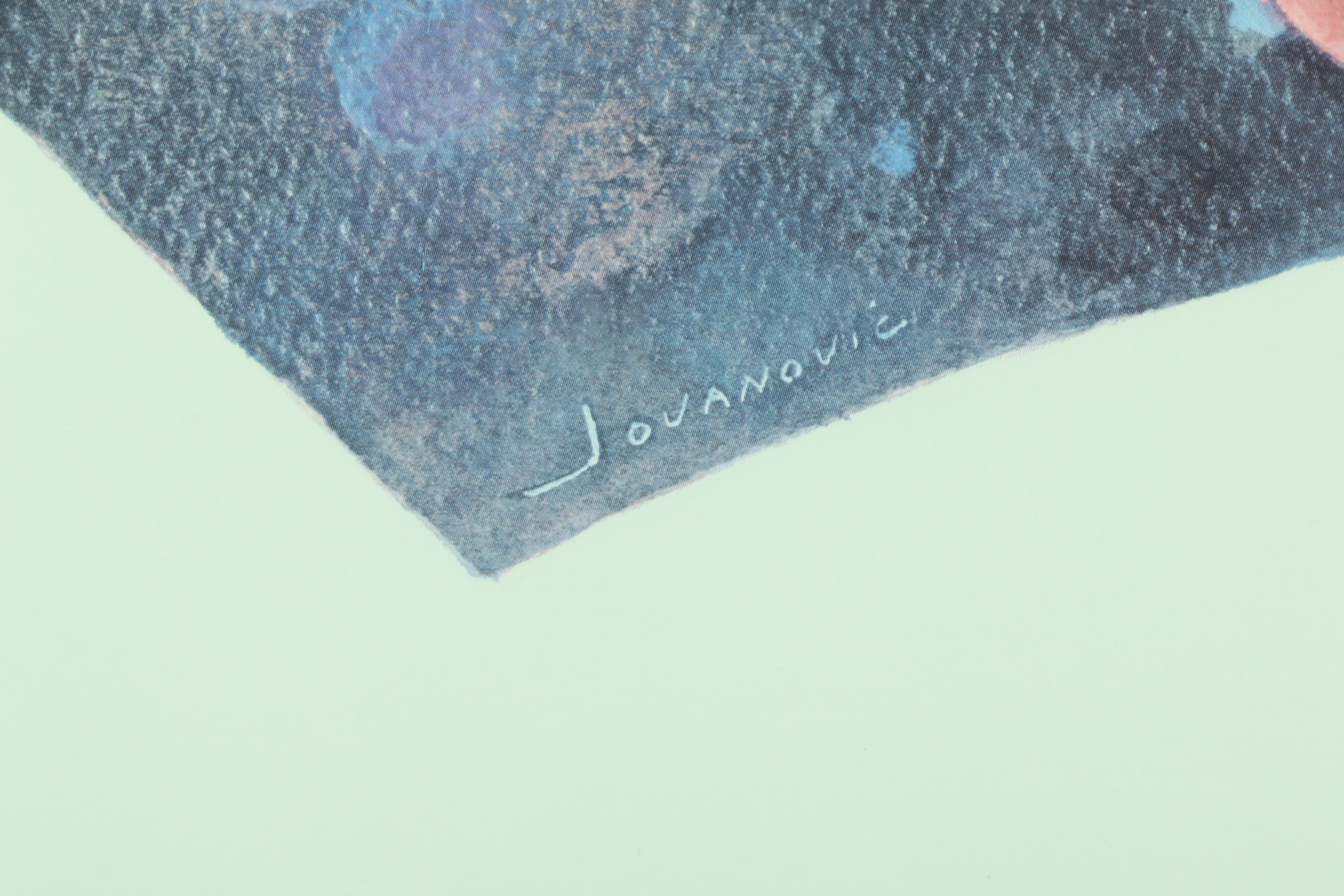 Offset Lithograph Poster After Lucija Jovanović "Mr. T's Begonia"