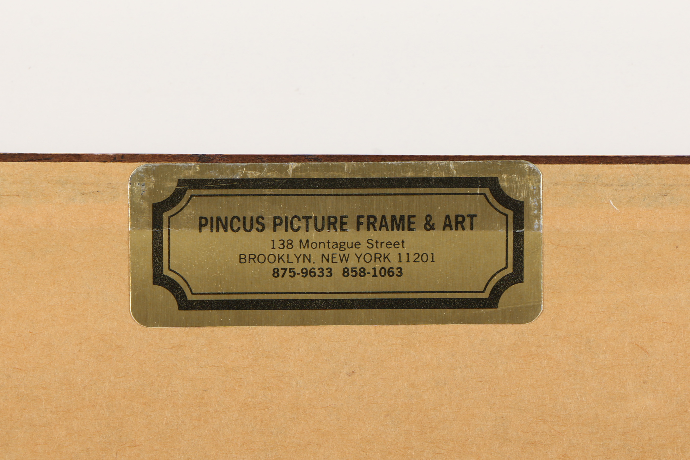 Offset Lithograph Poster After Lucija Jovanović "Mr. T's Begonia"