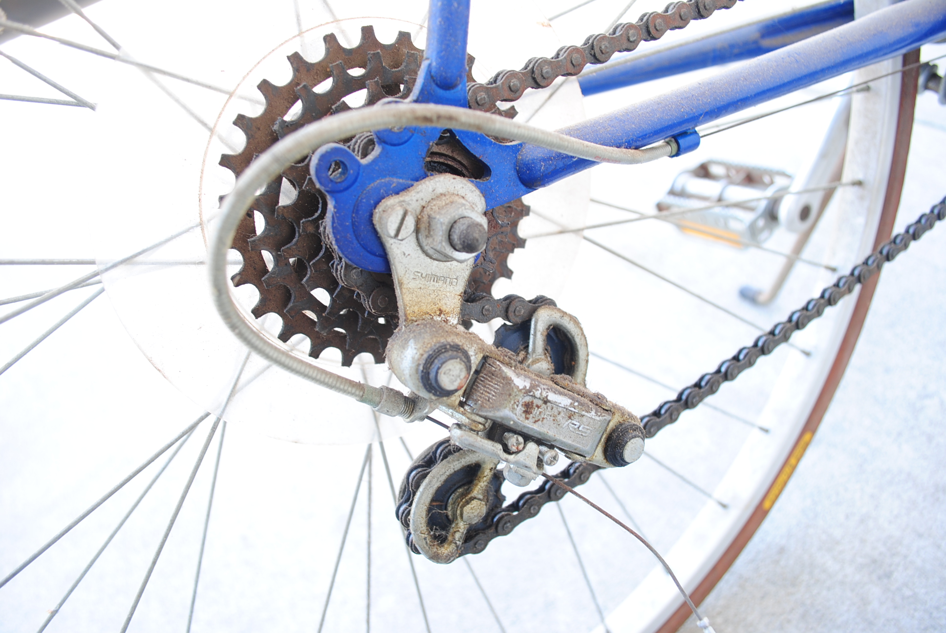 Vintage Ross Bicycles Countach Road Bicycle