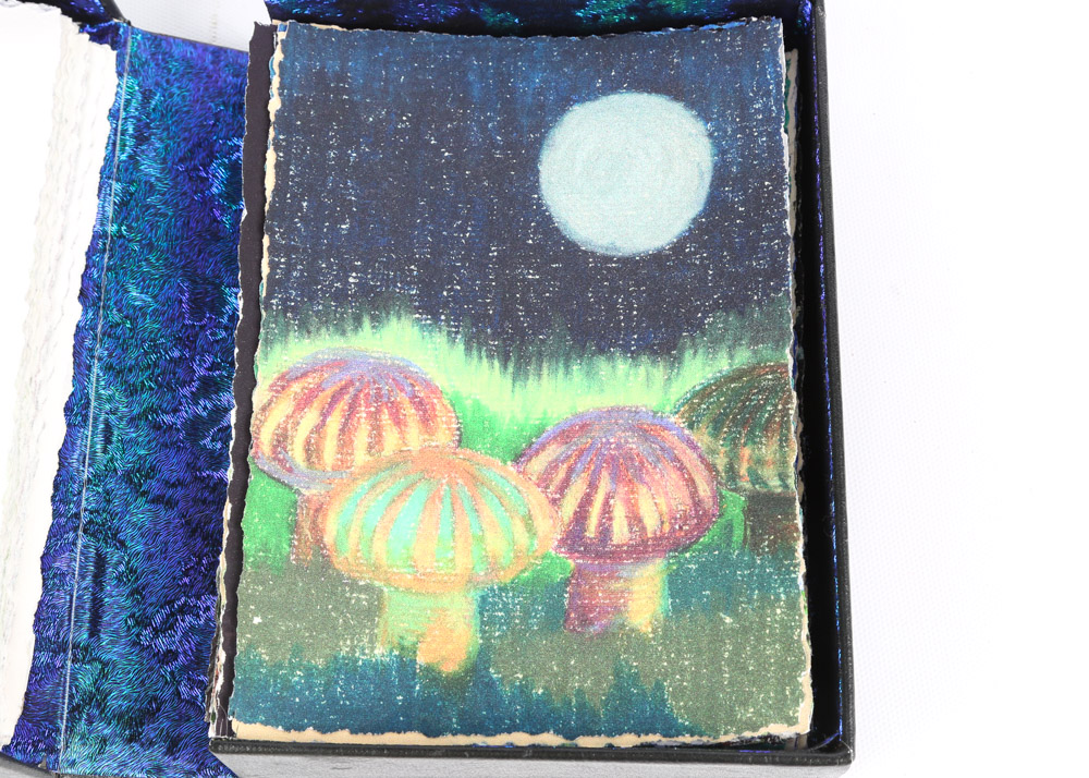 After Barbie Goshko Limited Edition "Inside The Dream Box" Journal Images