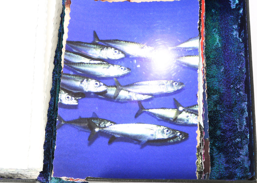 After Barbie Goshko Limited Edition "Inside The Dream Box" Journal Images