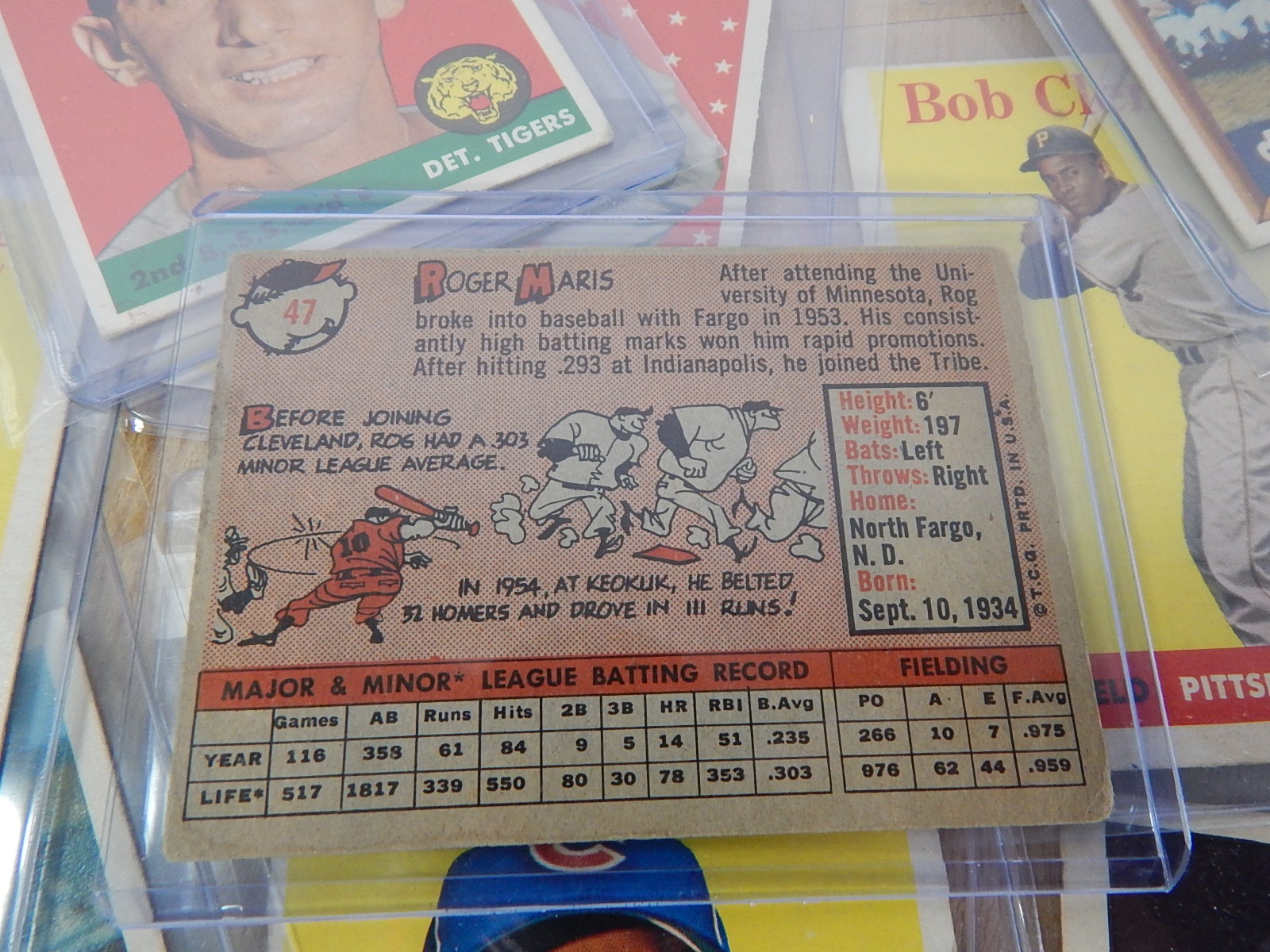 1950s Baseball Card Collection with Stars -Maris Rookie Card, Mantle, More