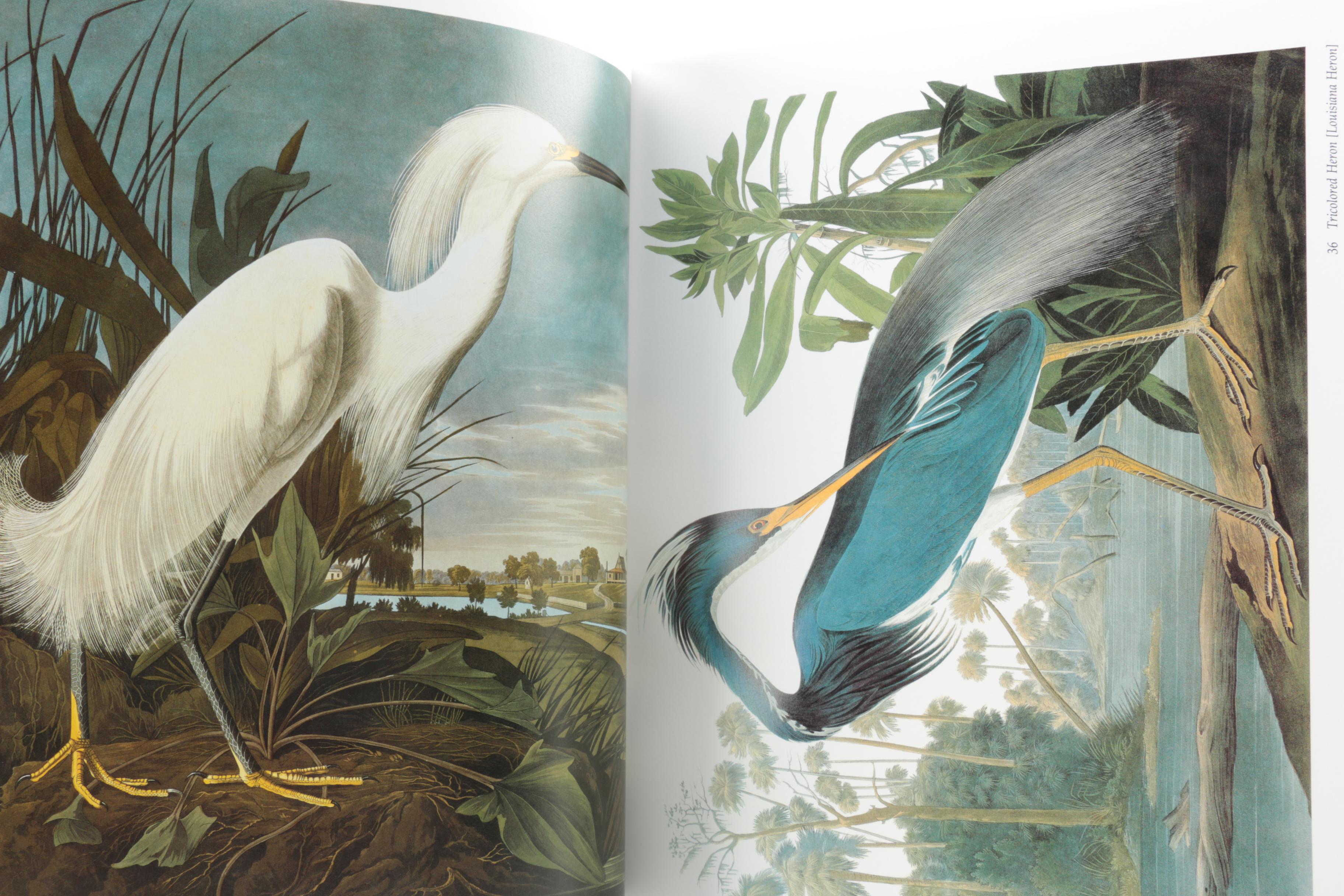 1990 "Audubon's Birds of America" by Roger and Virginia Peterson
