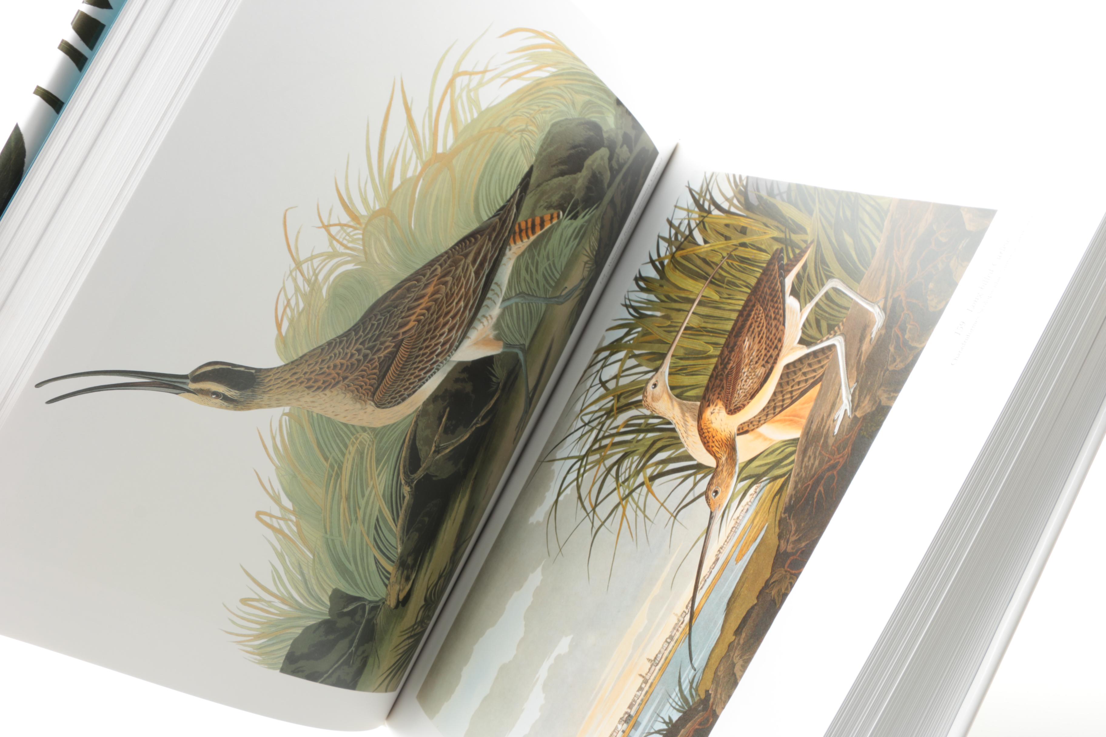 1990 "Audubon's Birds of America" by Roger and Virginia Peterson