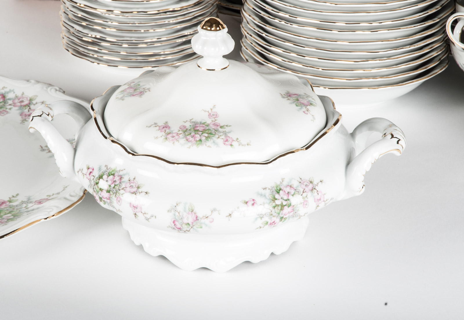 Johann Haviland China in "Apple Blossom" Pattern