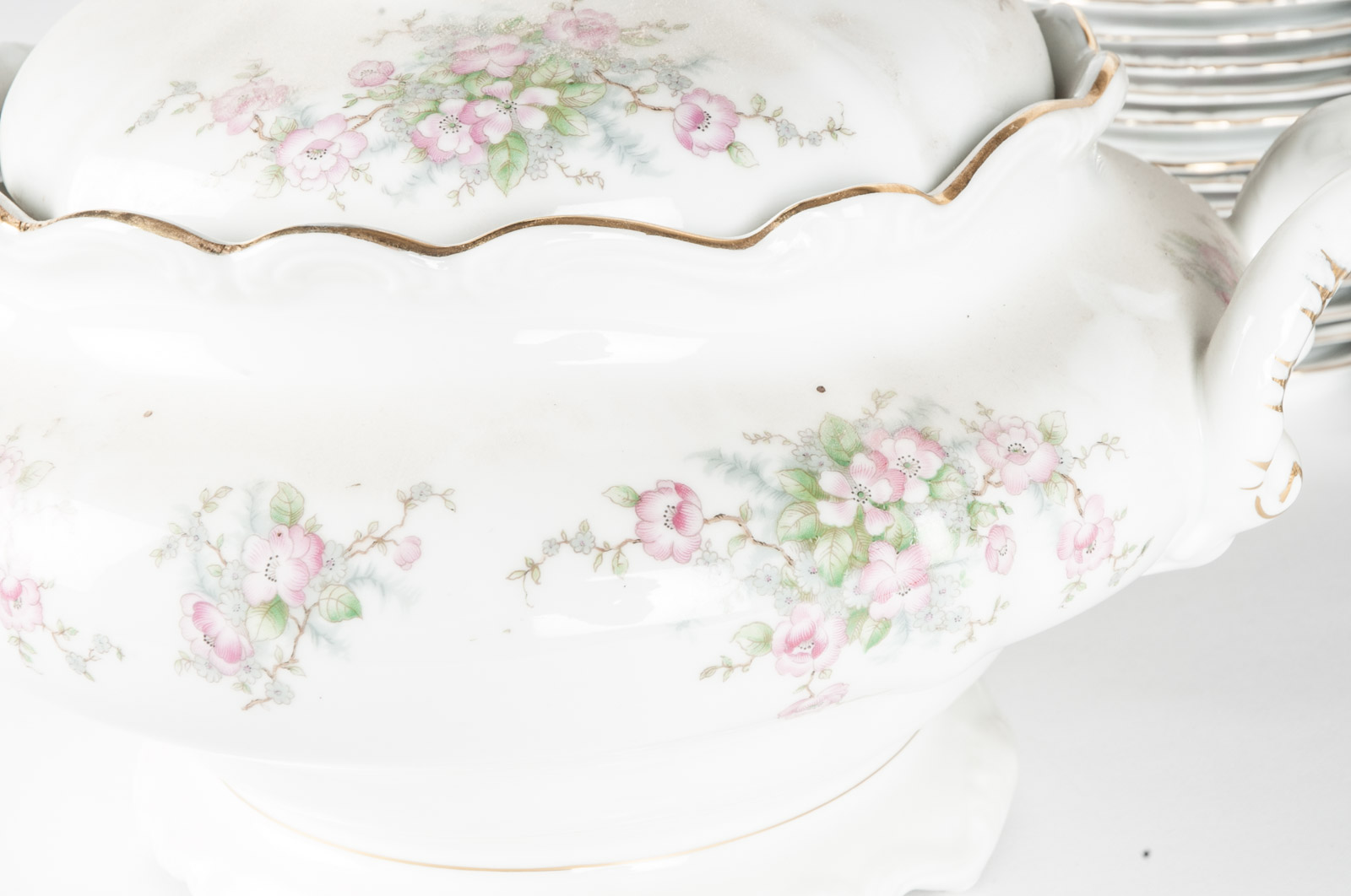Johann Haviland China in "Apple Blossom" Pattern