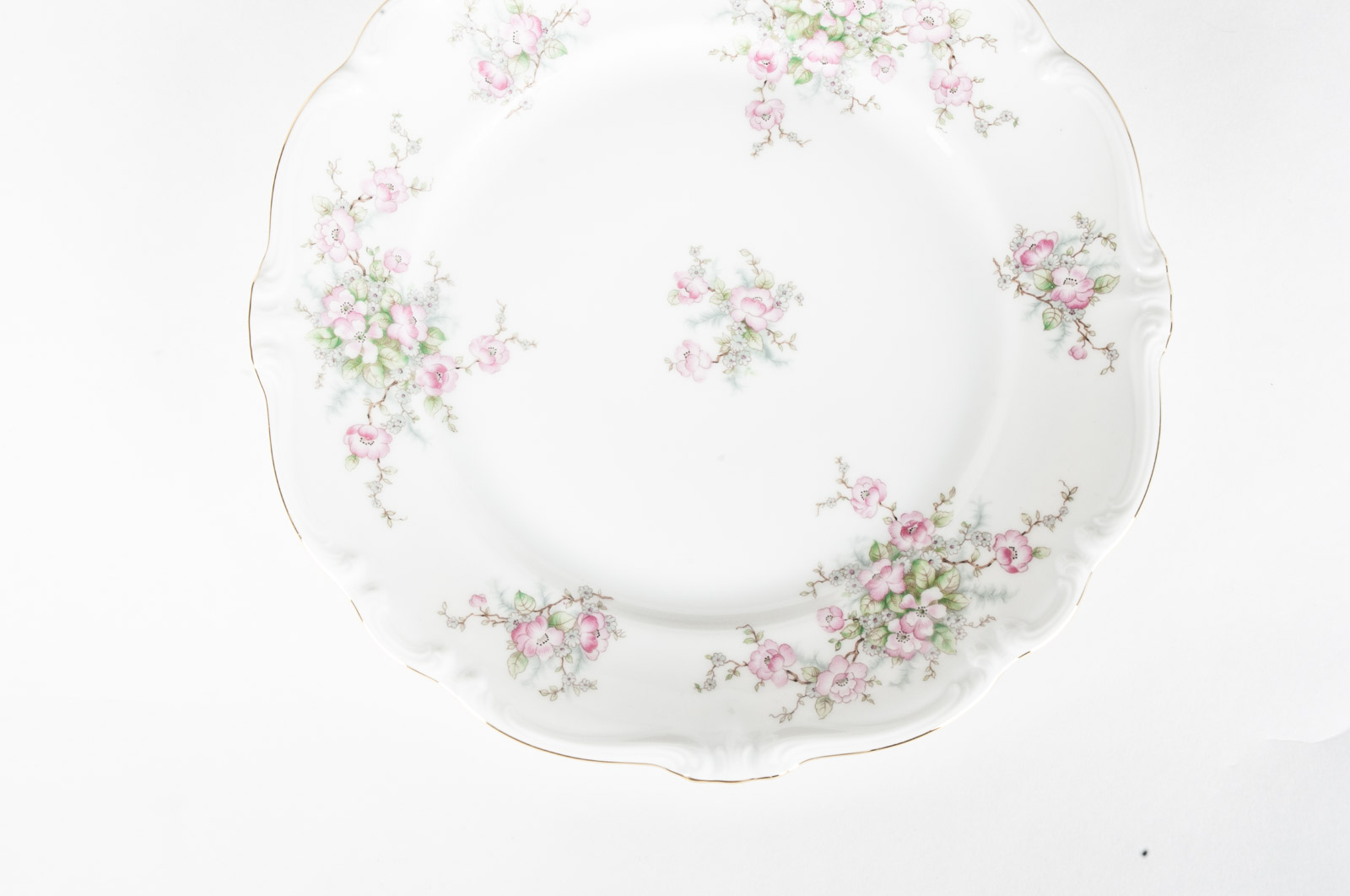 Johann Haviland China in "Apple Blossom" Pattern