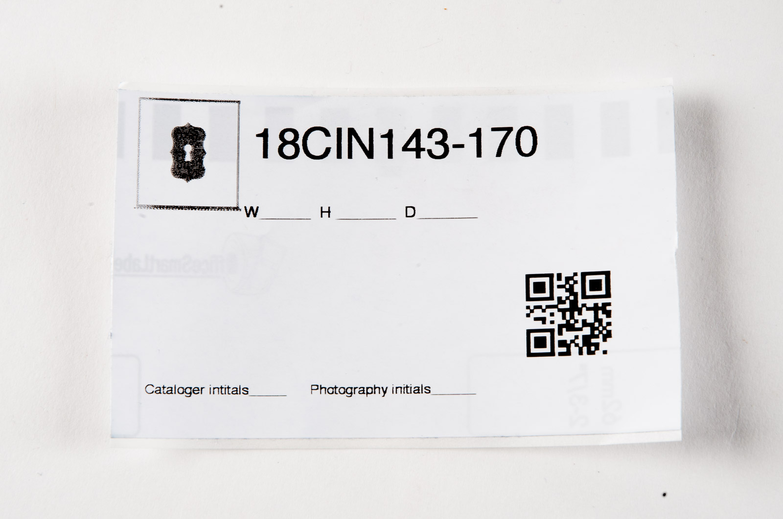 Johann Haviland China Featuring "Rosalinde" Pattern