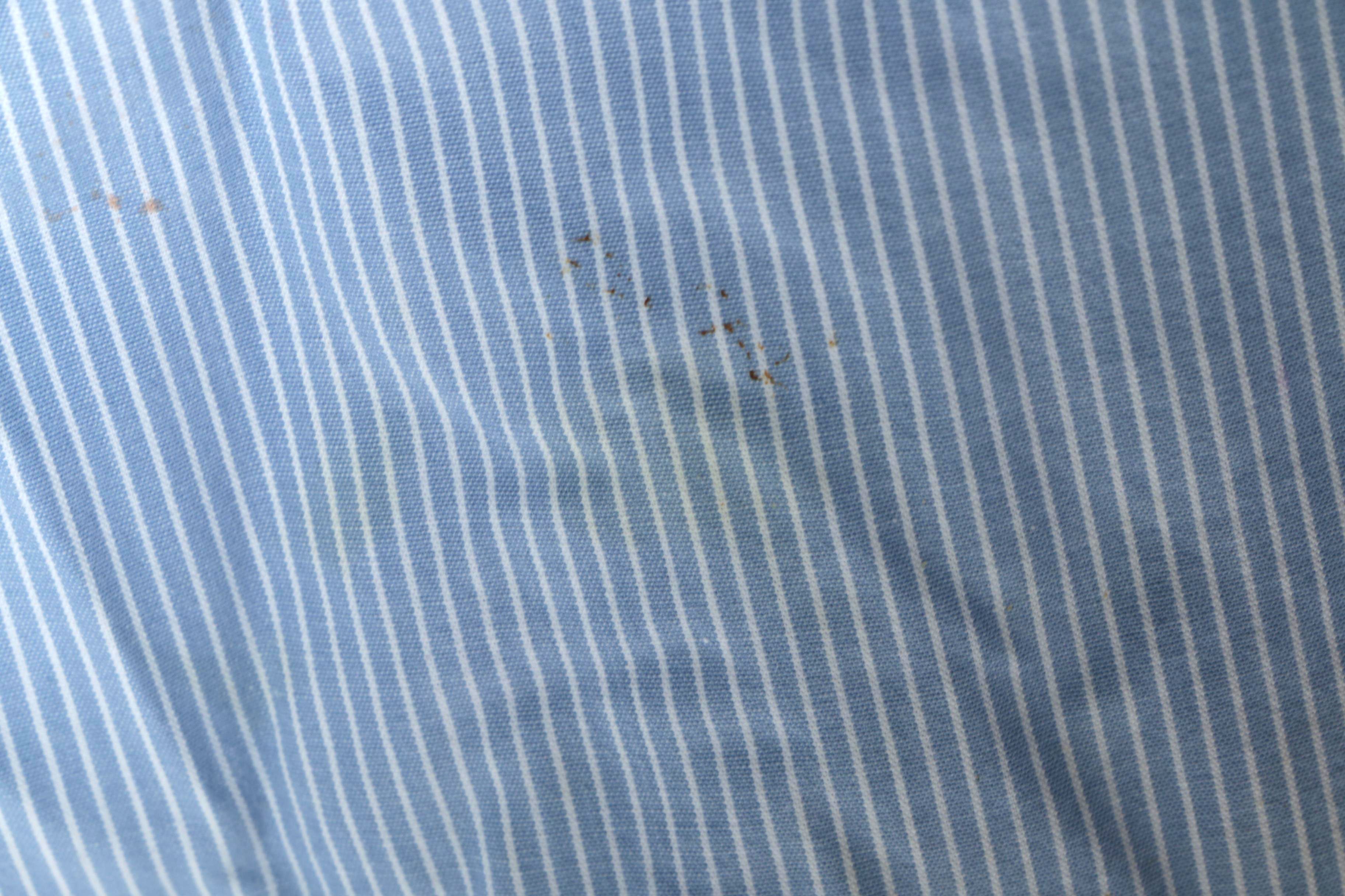 Men's and Women's Disney and Looney Tunes Button-Front Shirts