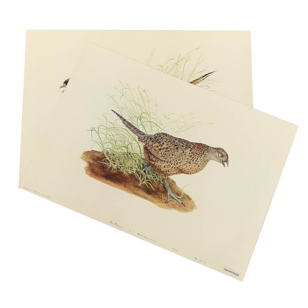 Reproduction Collotypes After M.A. Antonoplos