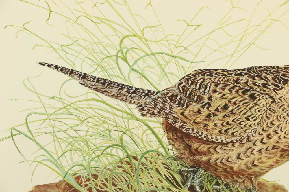 Reproduction Collotypes After M.A. Antonoplos