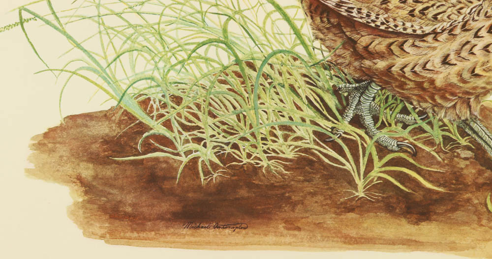 Reproduction Collotypes After M.A. Antonoplos