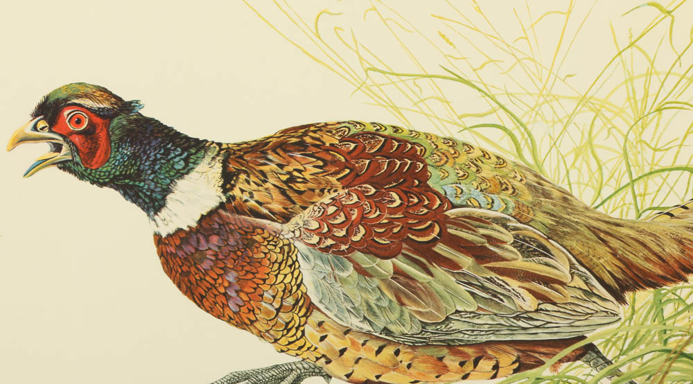 Reproduction Collotypes After M.A. Antonoplos