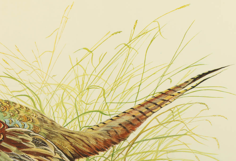 Reproduction Collotypes After M.A. Antonoplos