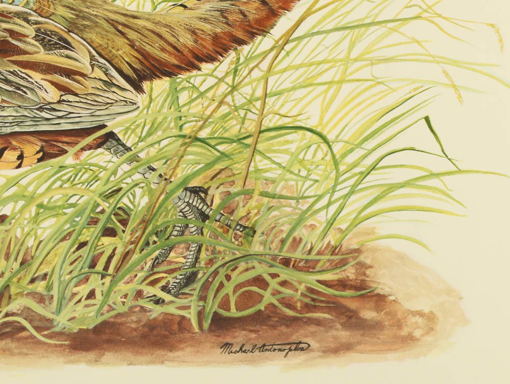 Reproduction Collotypes After M.A. Antonoplos