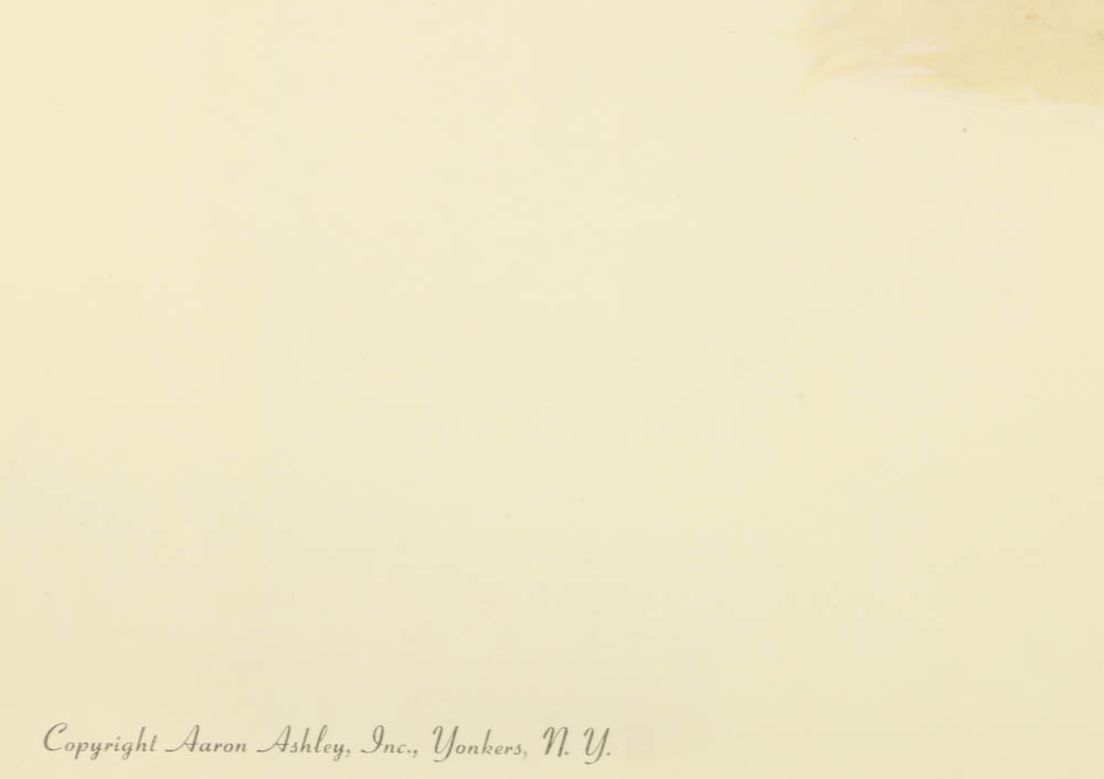 Reproduction Collotypes After M.A. Antonoplos