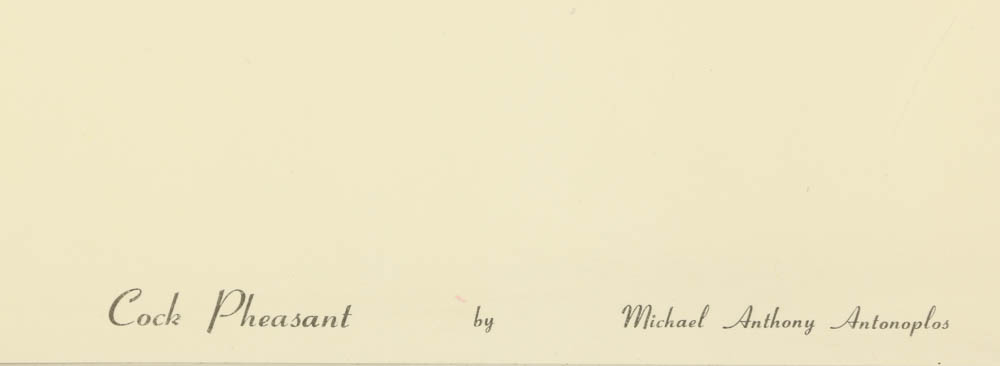 Reproduction Collotypes After M.A. Antonoplos