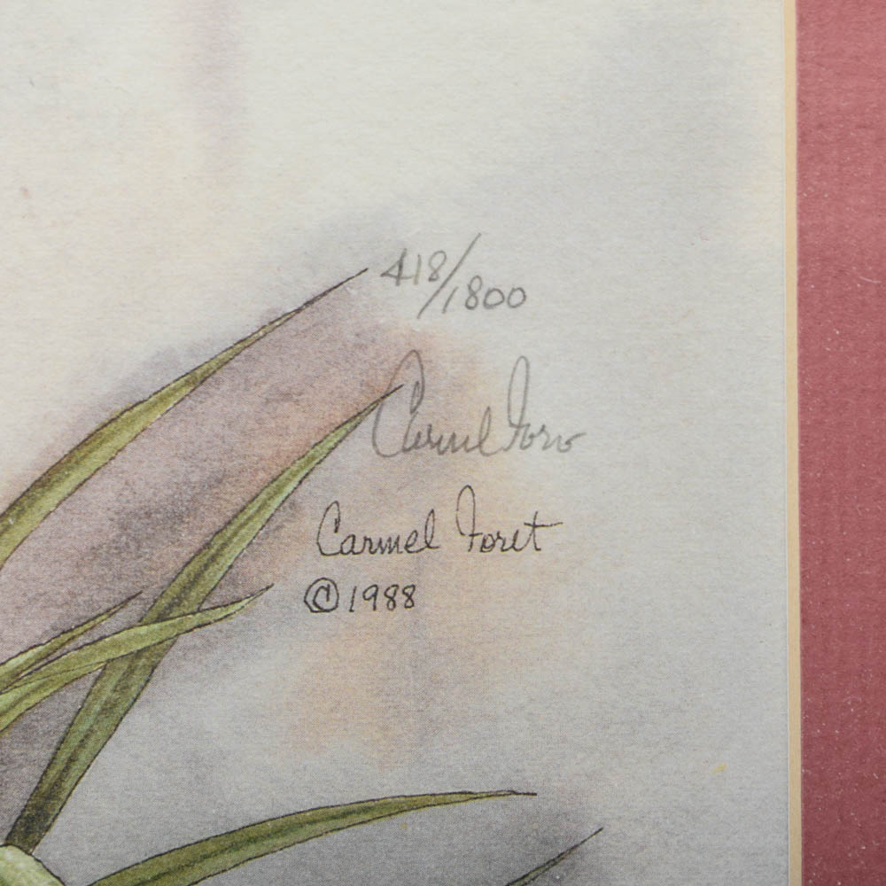 Carmel Foret Limited Edition Floral Offset Lithograph on Paper