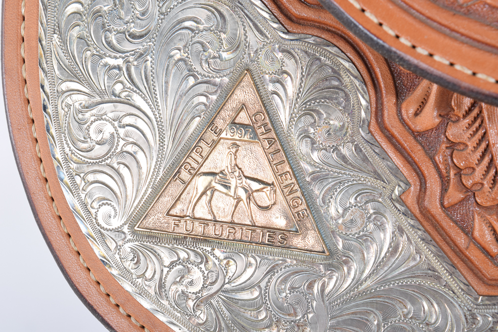 Dale Chavez Trophy Western Pleasure Leather & 500 Silver Show Saddle