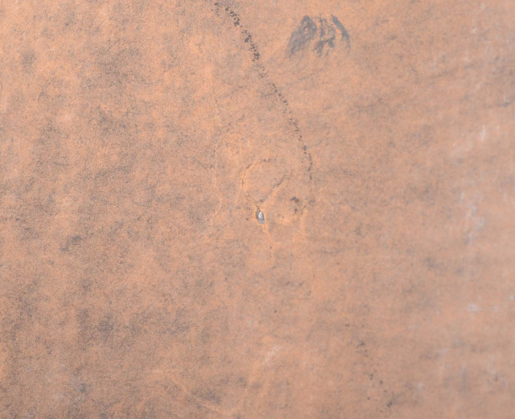 Conté Crayon Portrait by Louise Marianetti