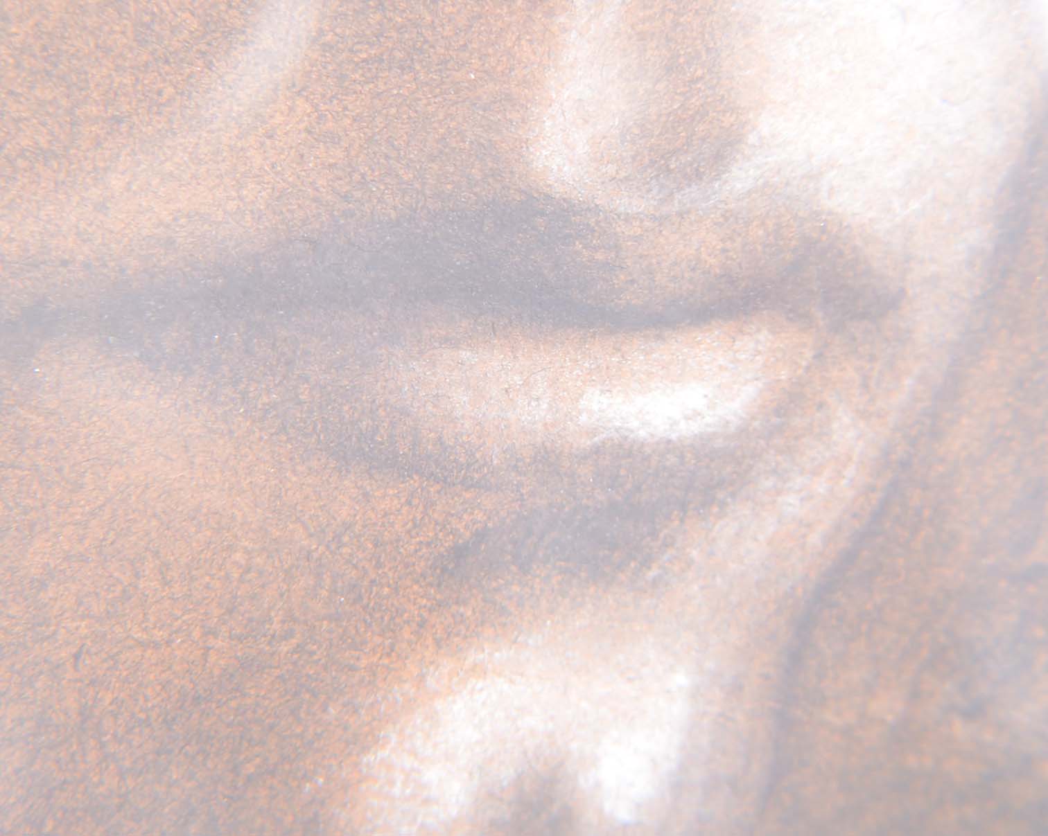 Conté Crayon Portrait by Louise Marianetti