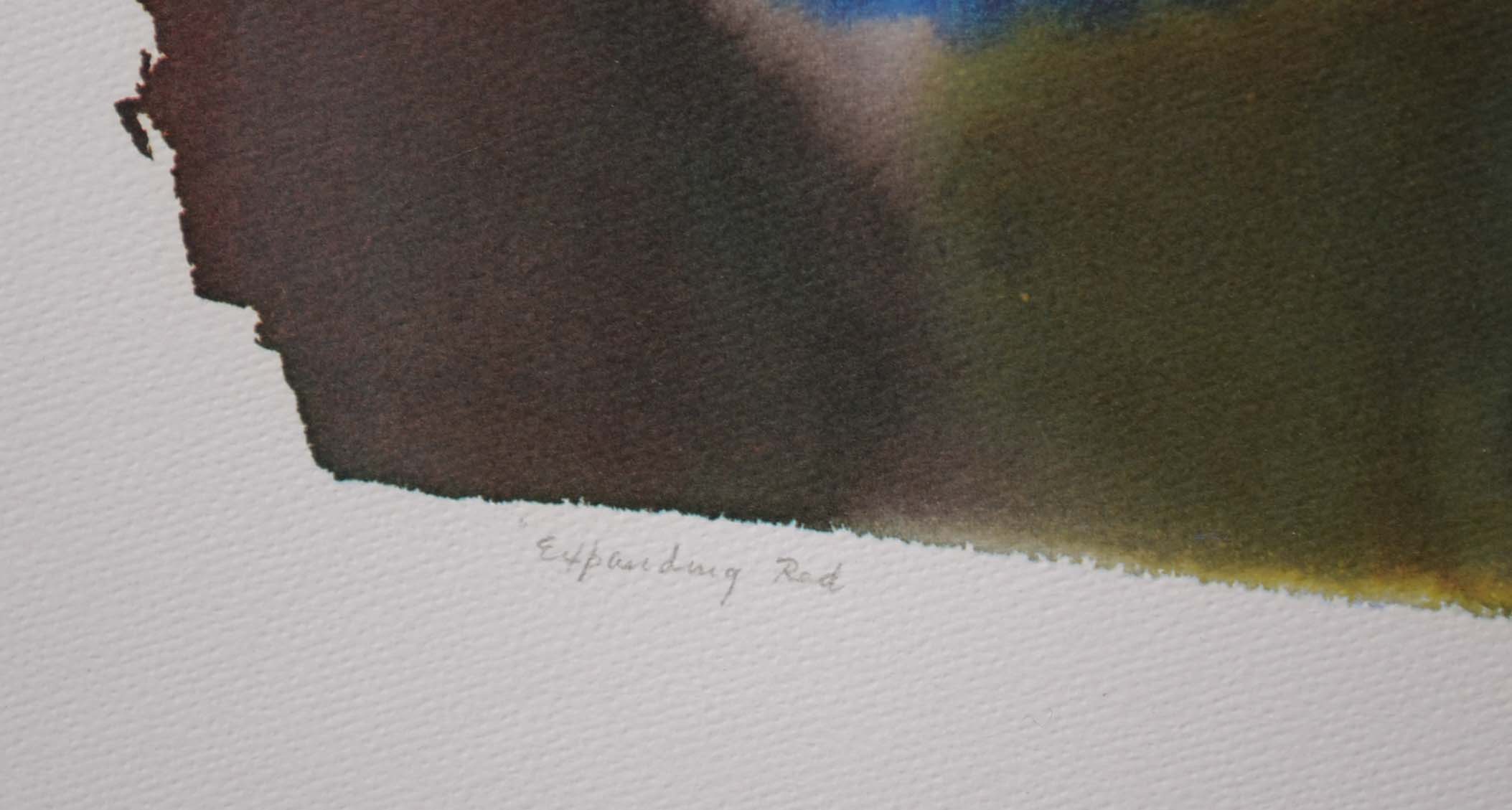 Amanda Block Offset Lithographic Print "Expanding Red"