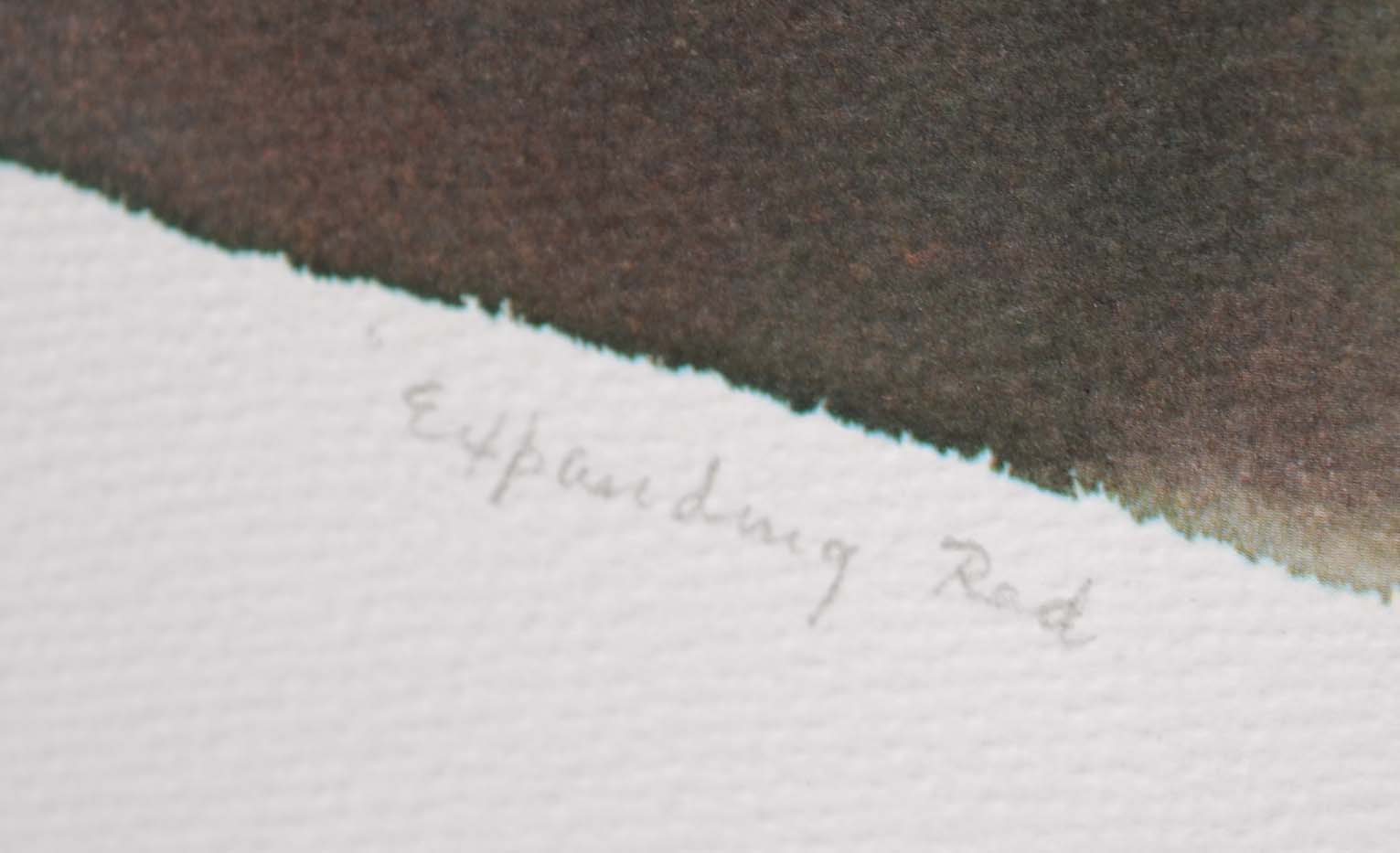 Amanda Block Offset Lithographic Print "Expanding Red"