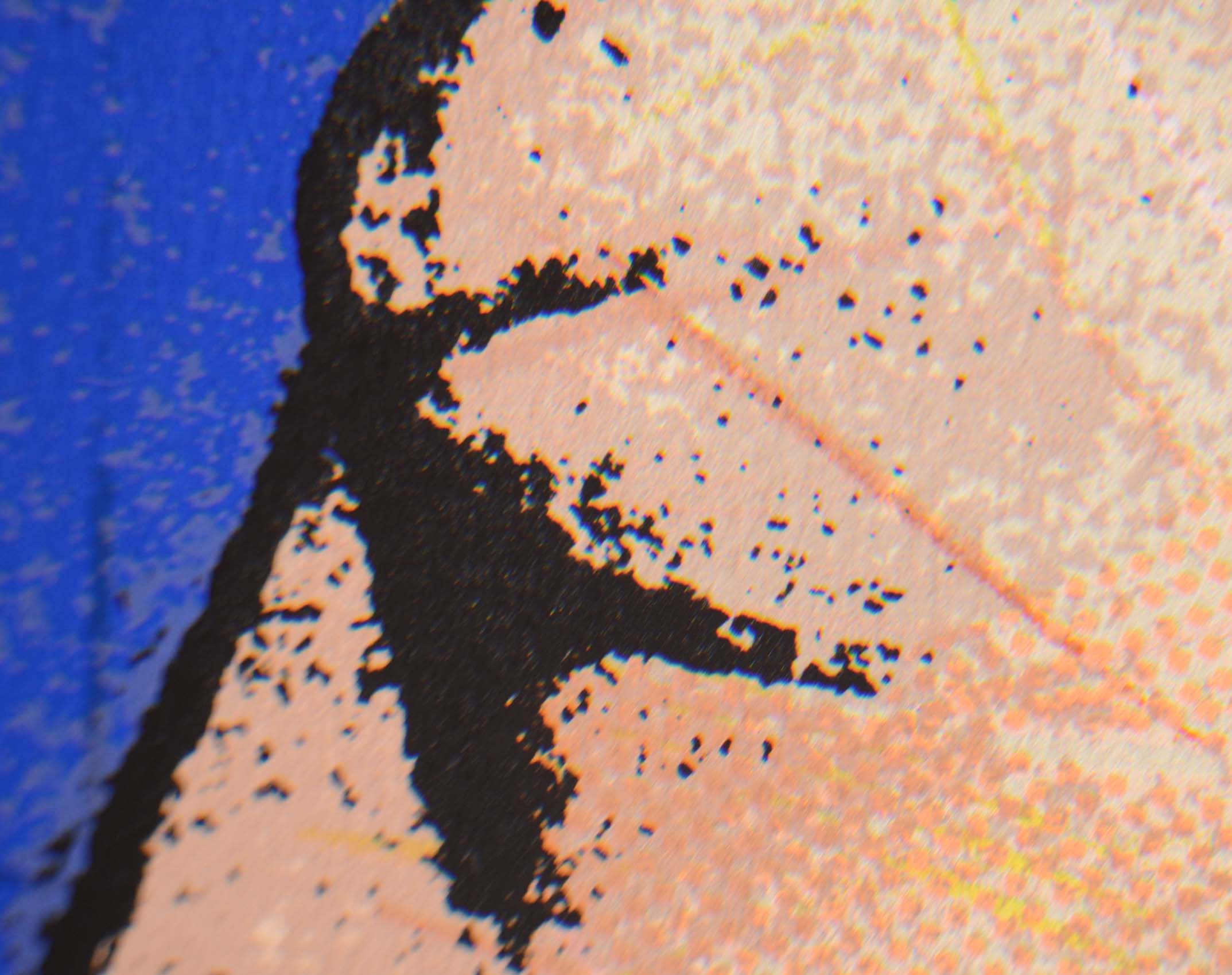 Amanda Block Offset Lithographic Print "Expanding Red"