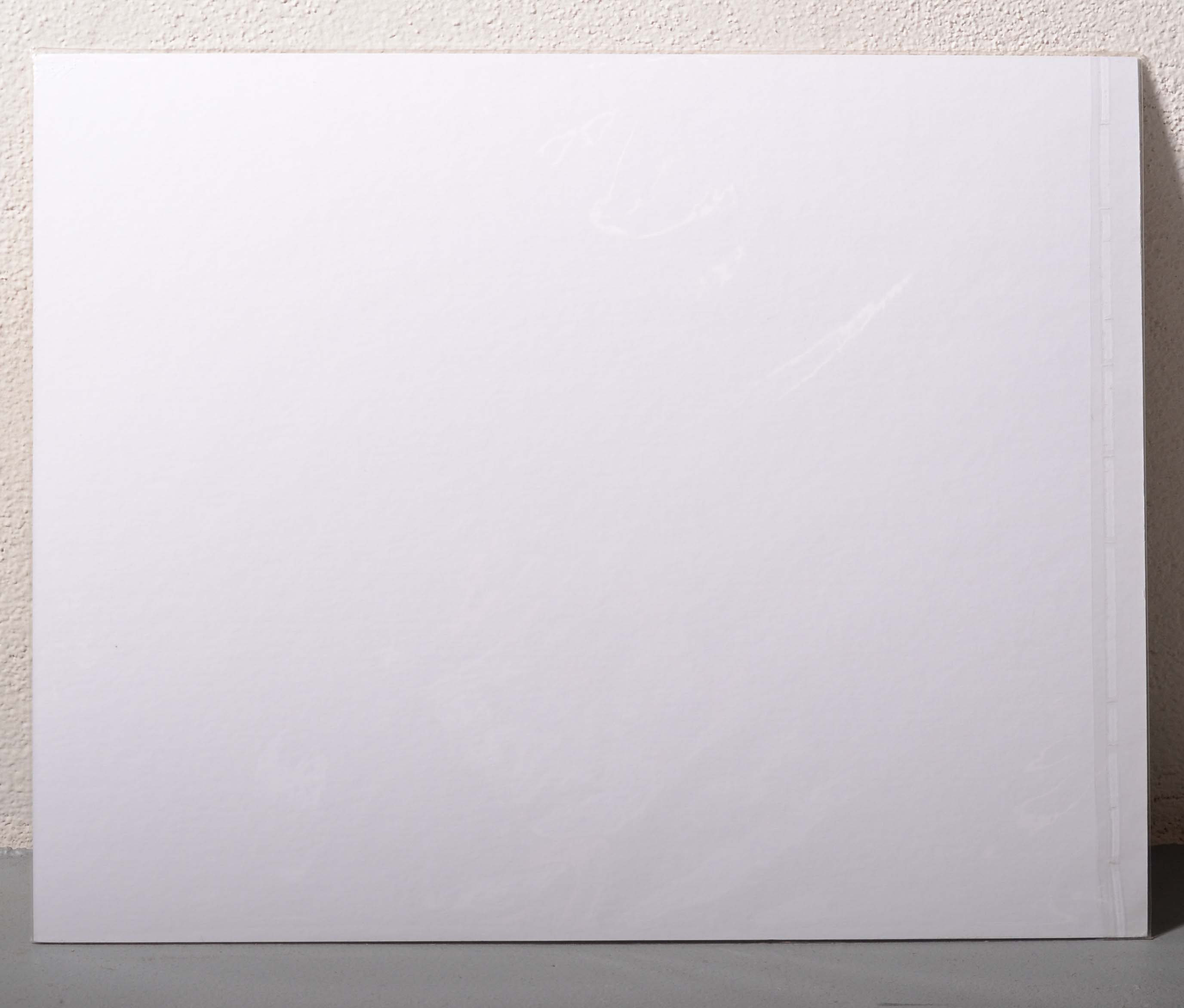 Watercolor of House Attributed to Charles Liedl