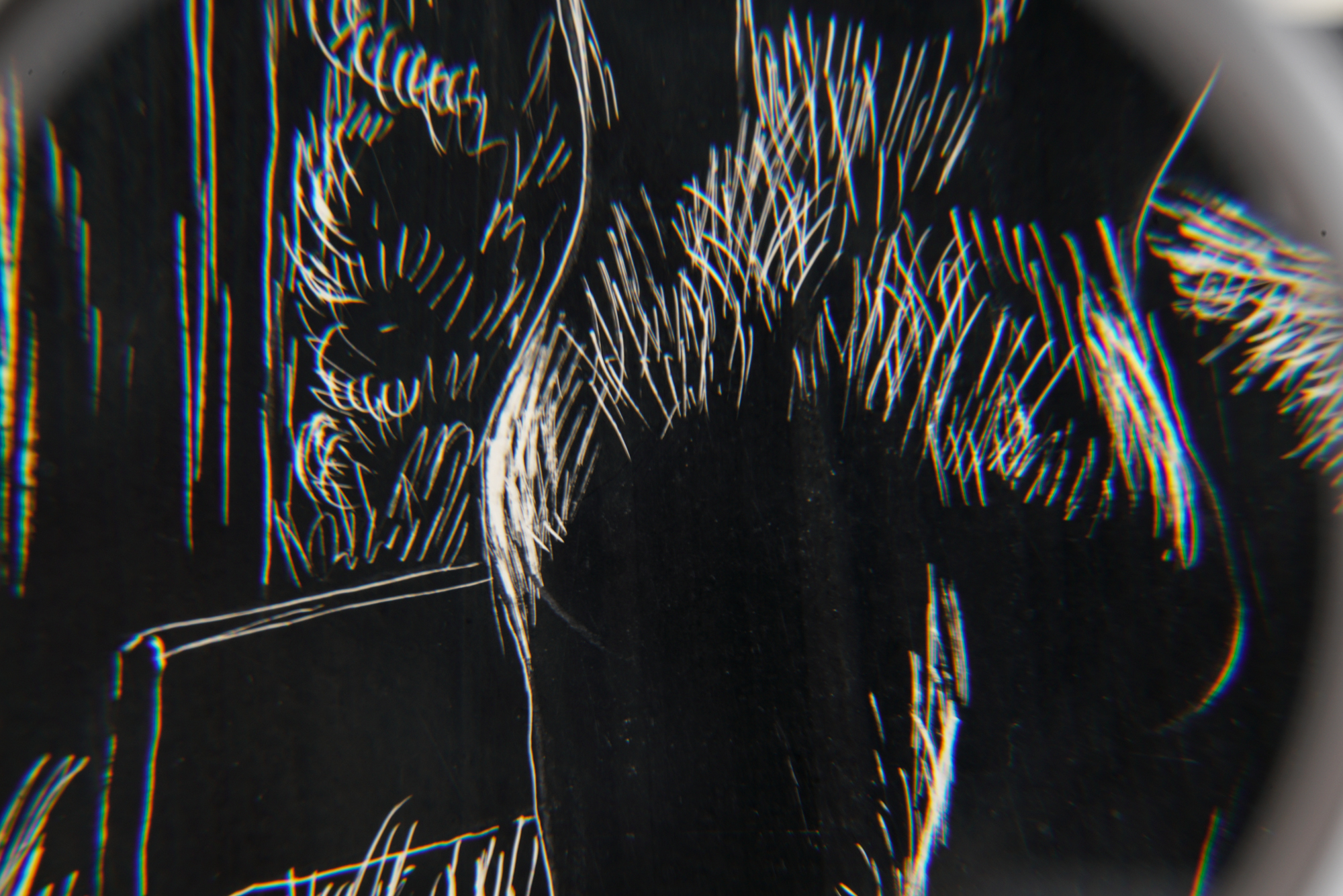 Edna Martin Scratch Board Drawing "Two Donkeys"