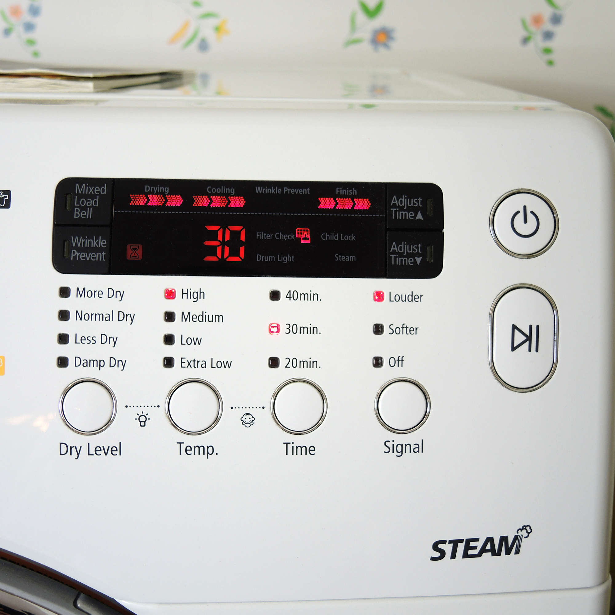 Samsung Steam Dryer