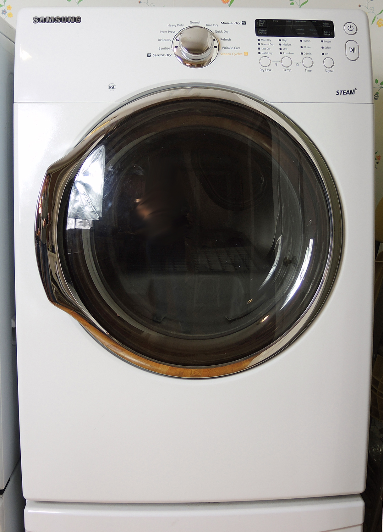 Samsung Steam Dryer