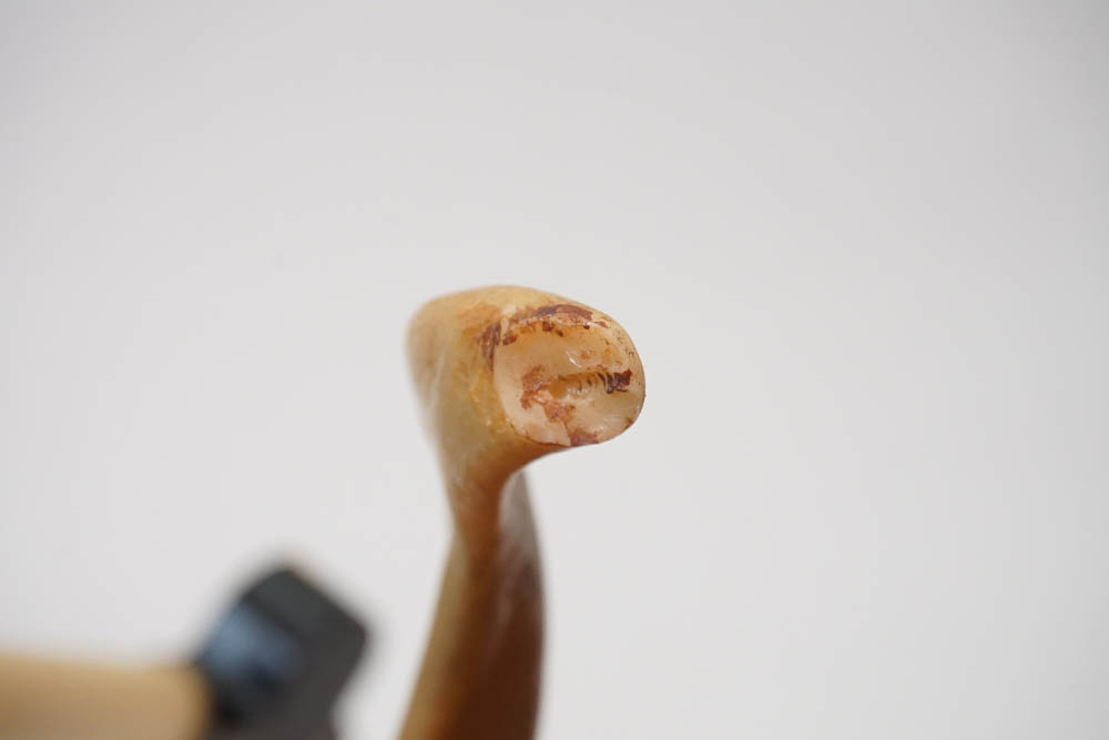 Vintage Chapman Lighting Ram's Horn and Brass Table Lamp