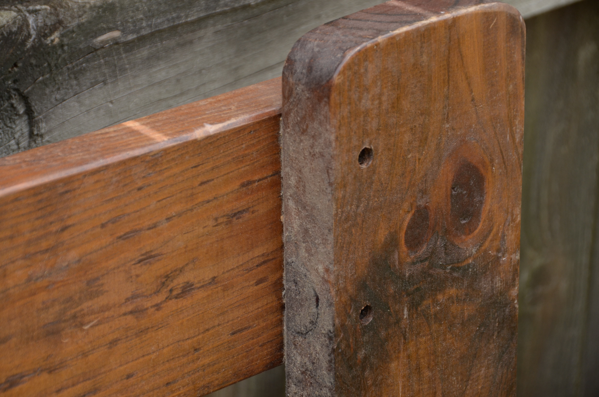 Rustic Pine Twin Bed Frame