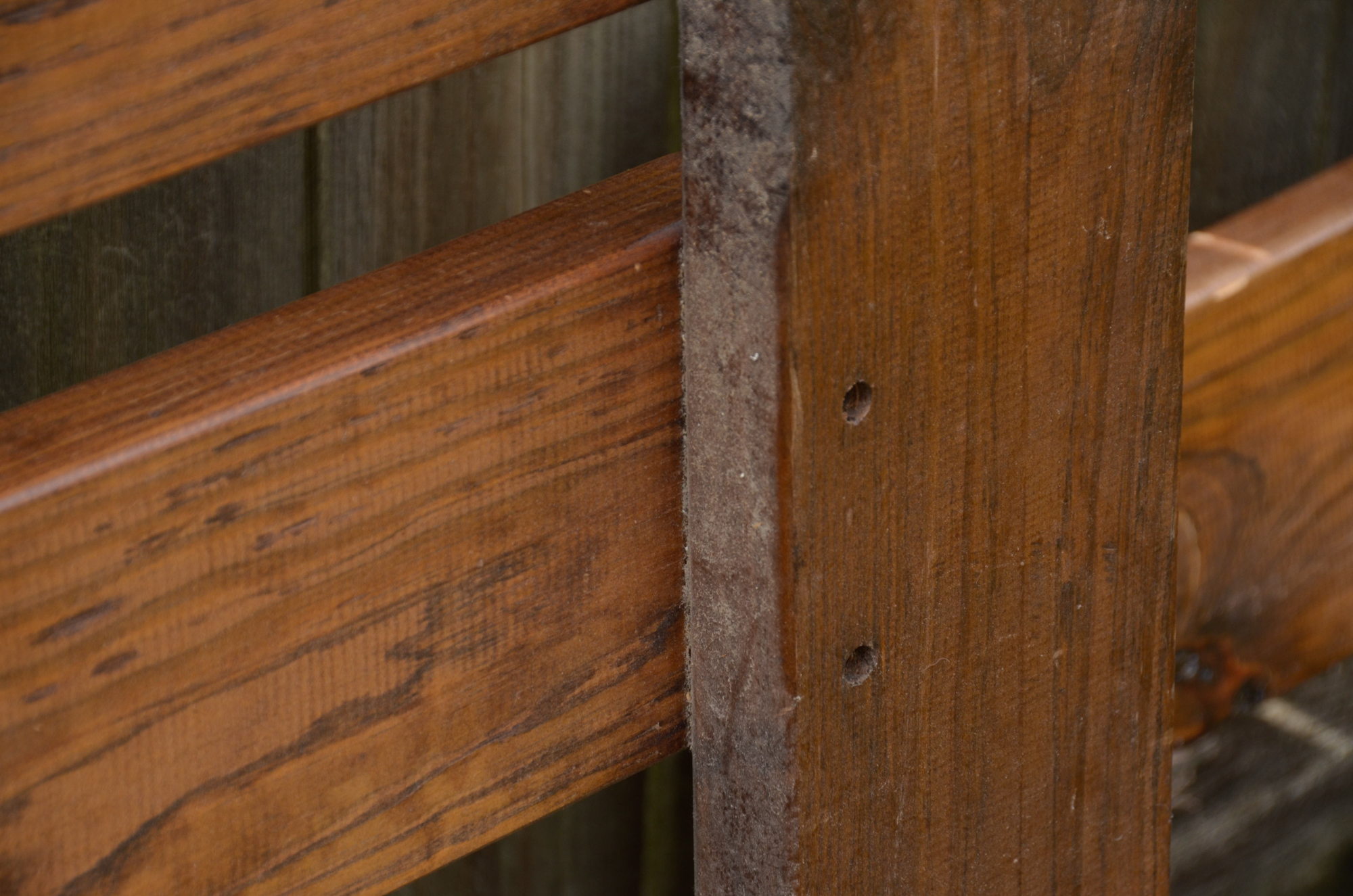 Rustic Pine Twin Bed Frame