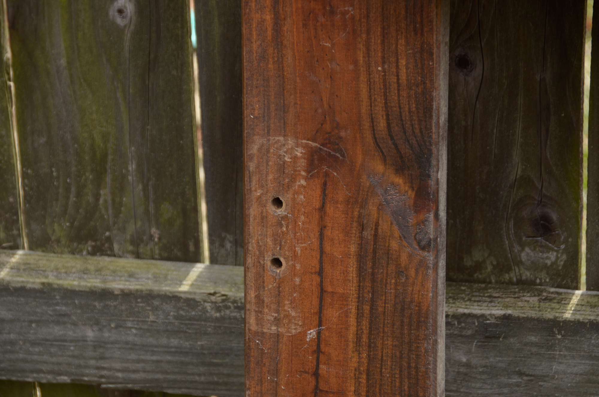 Rustic Pine Twin Bed Frame